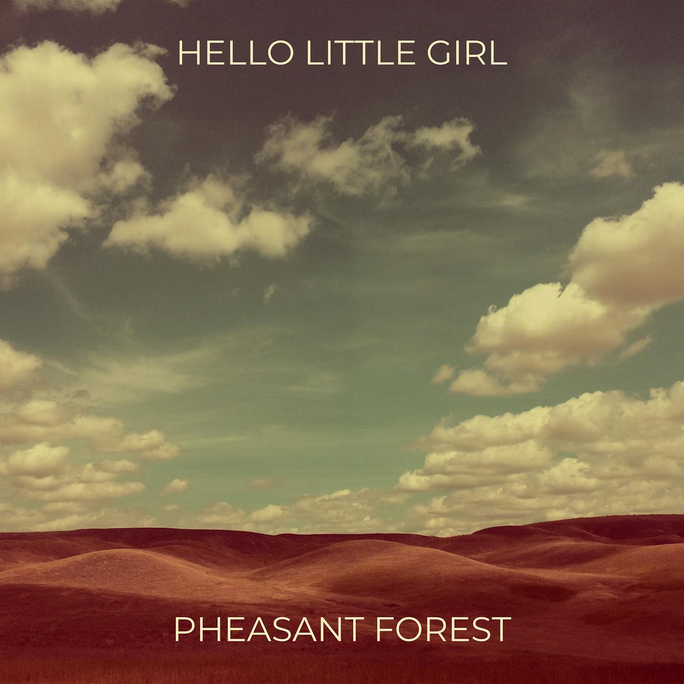 Постер альбома Hello Little Girl