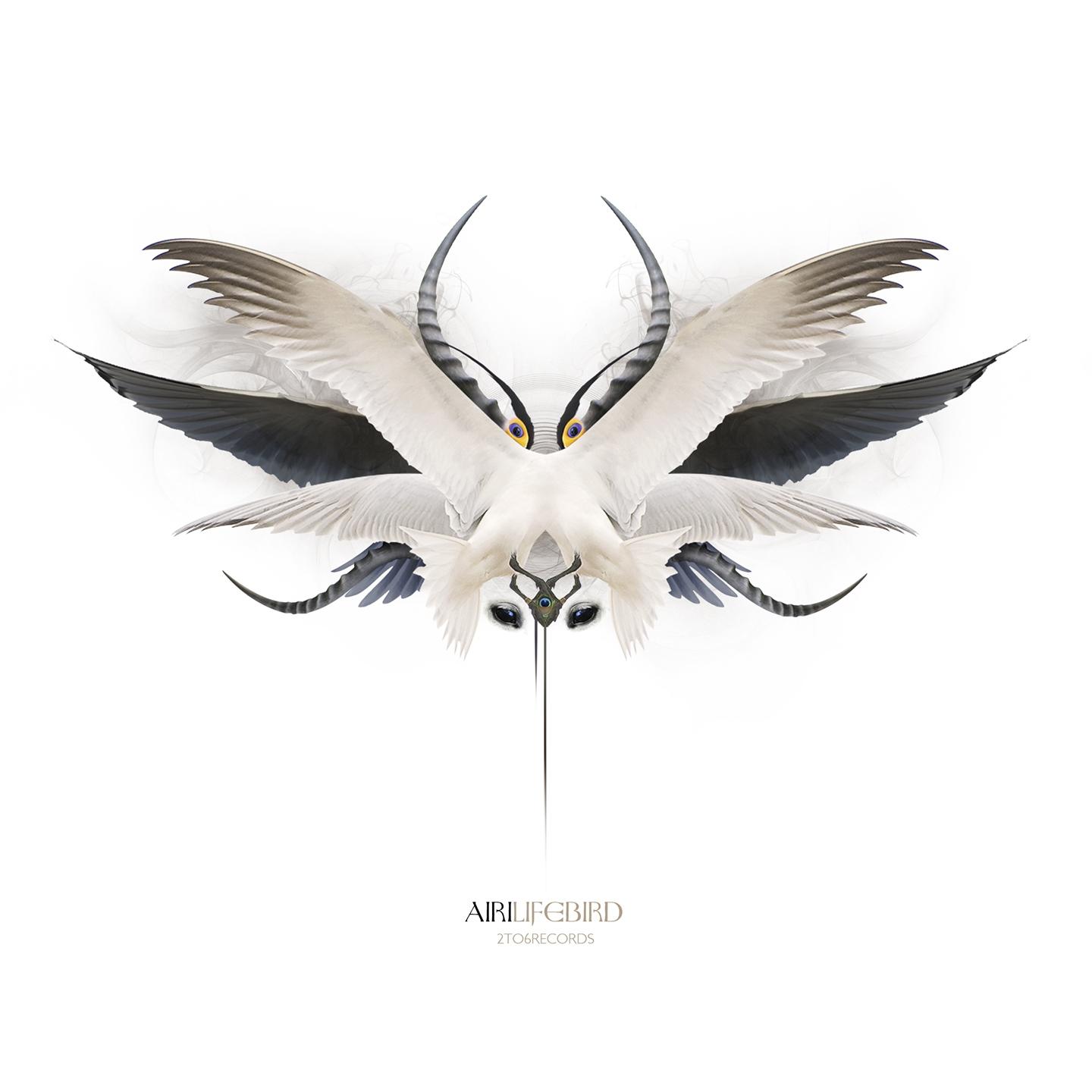 Постер альбома Lifebird