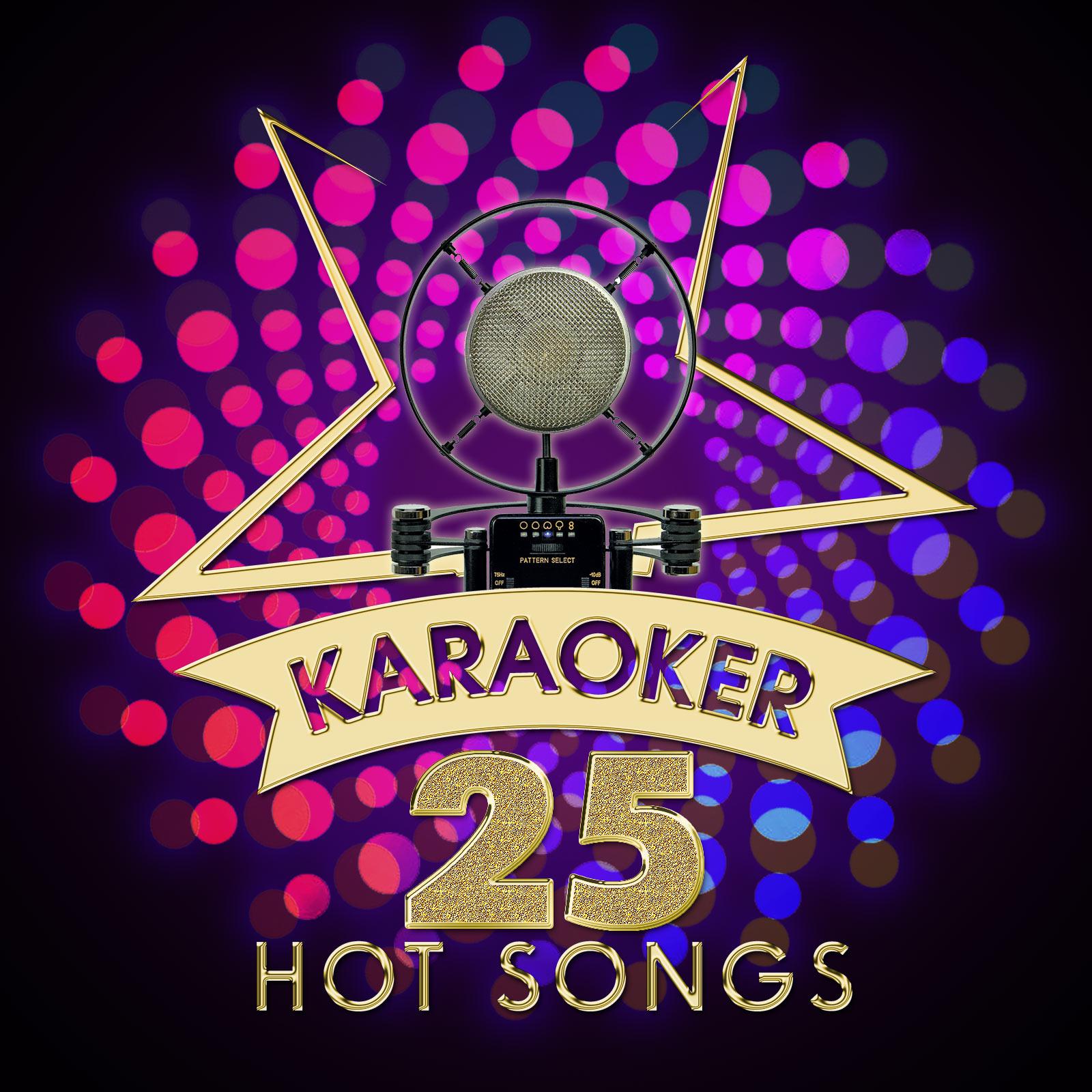 Постер альбома Karaoker