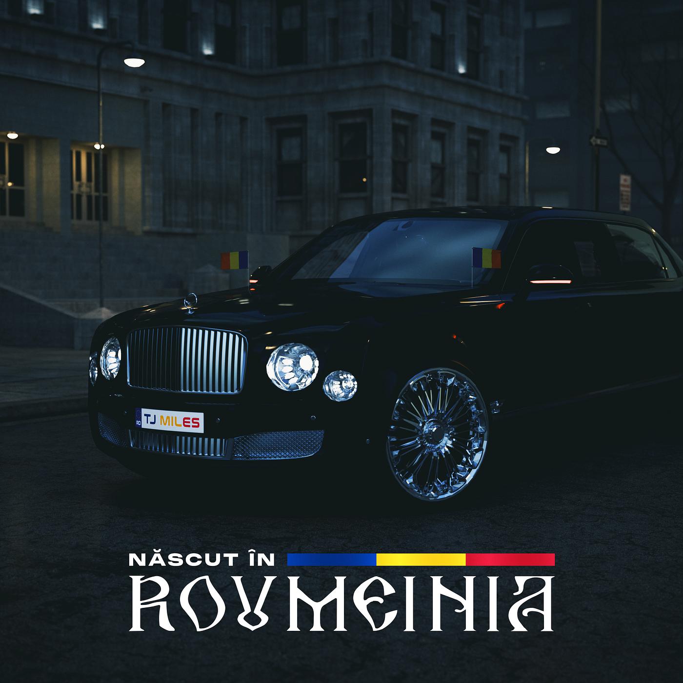 Постер альбома Nascut in Roumeinia