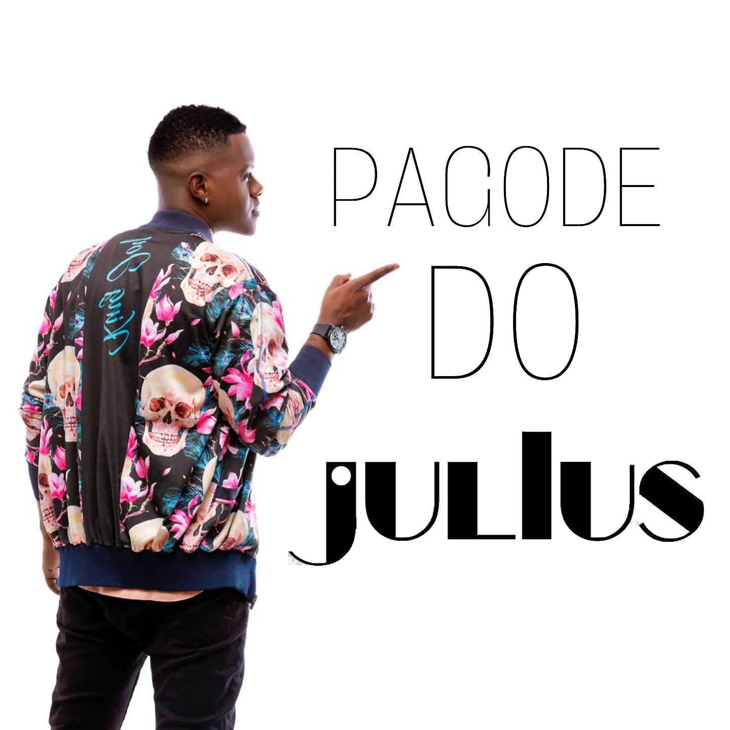 Постер альбома Pagode do Julius
