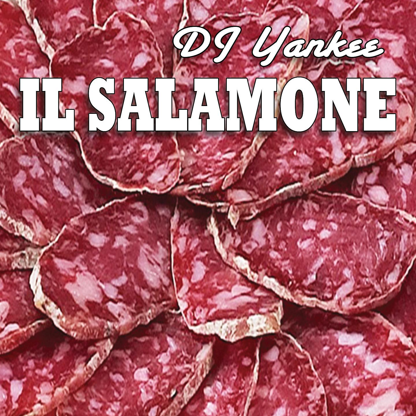 Постер альбома Il salamone