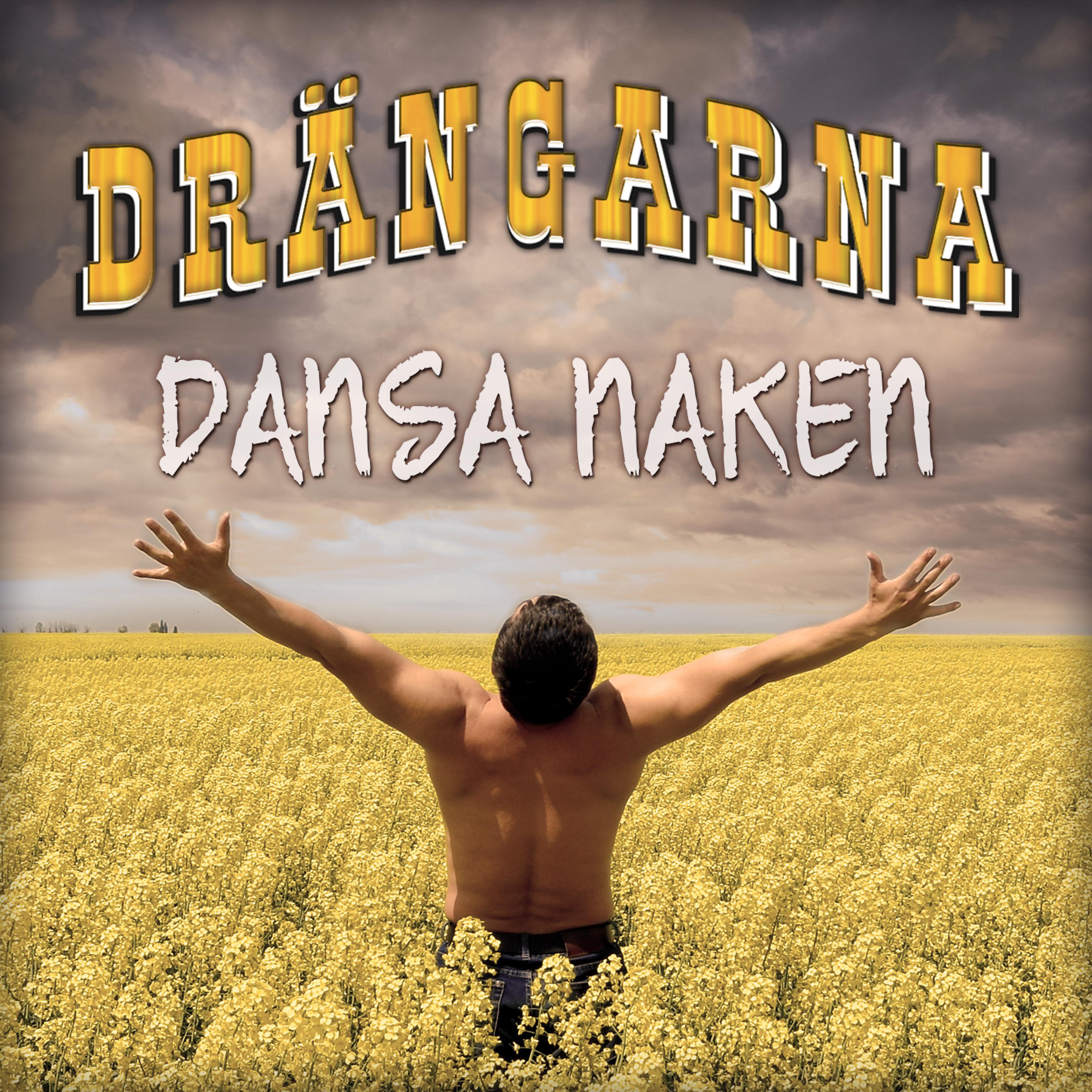 Постер альбома Dansa Naken