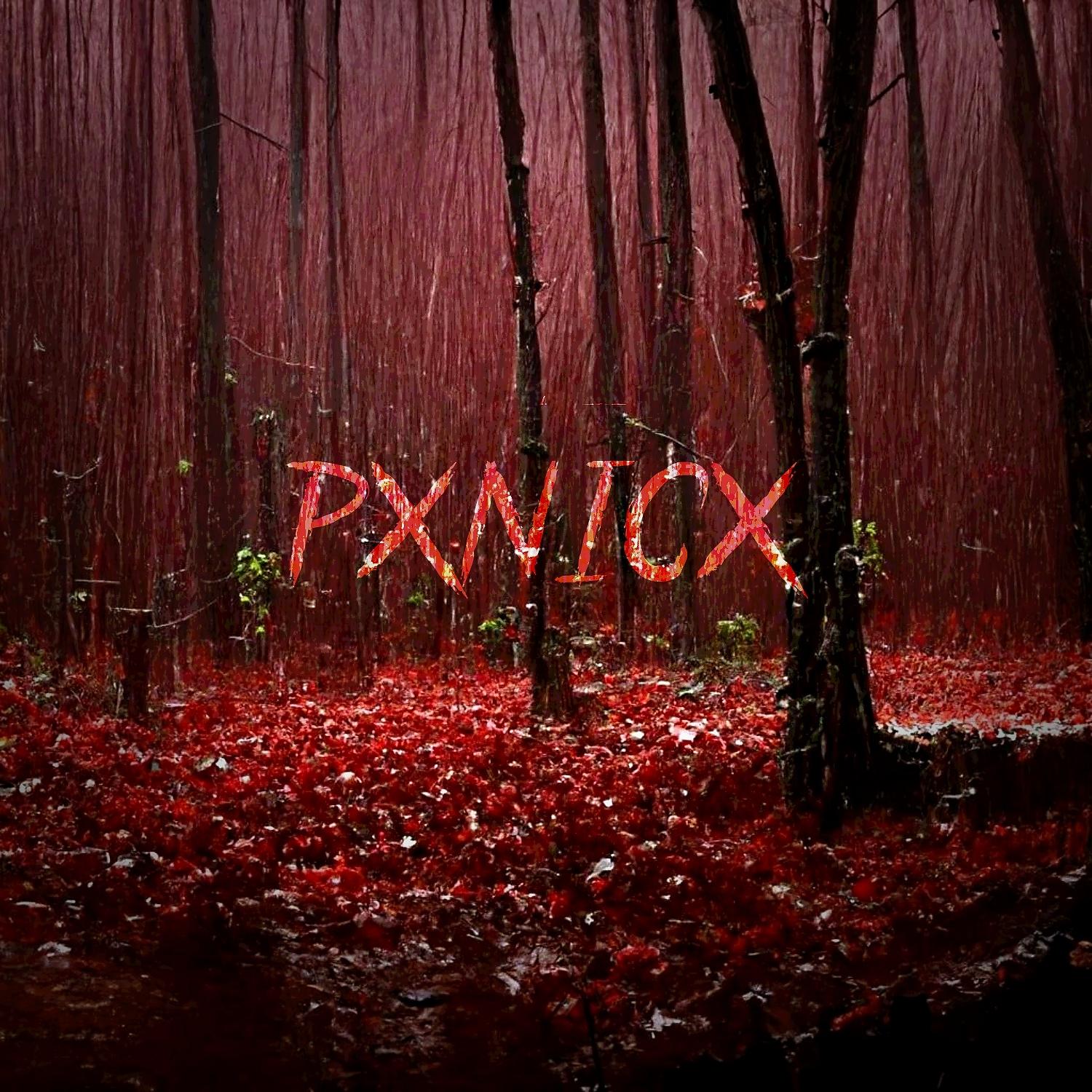 Постер альбома Pxnicx