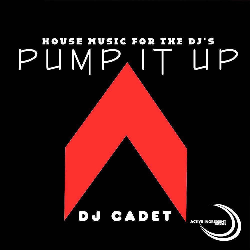 Постер альбома Pump It Up DJ