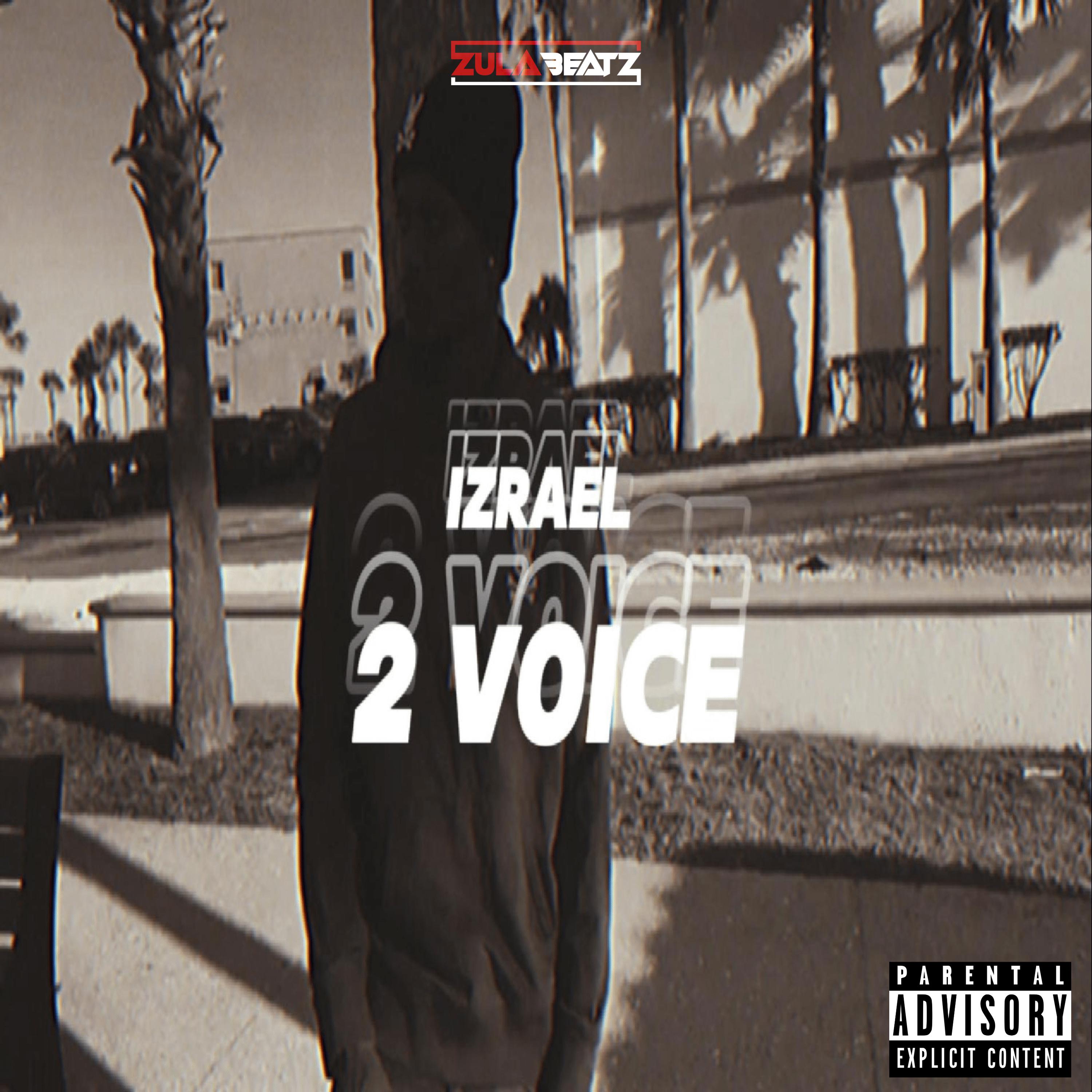 Постер альбома 2 Voice
