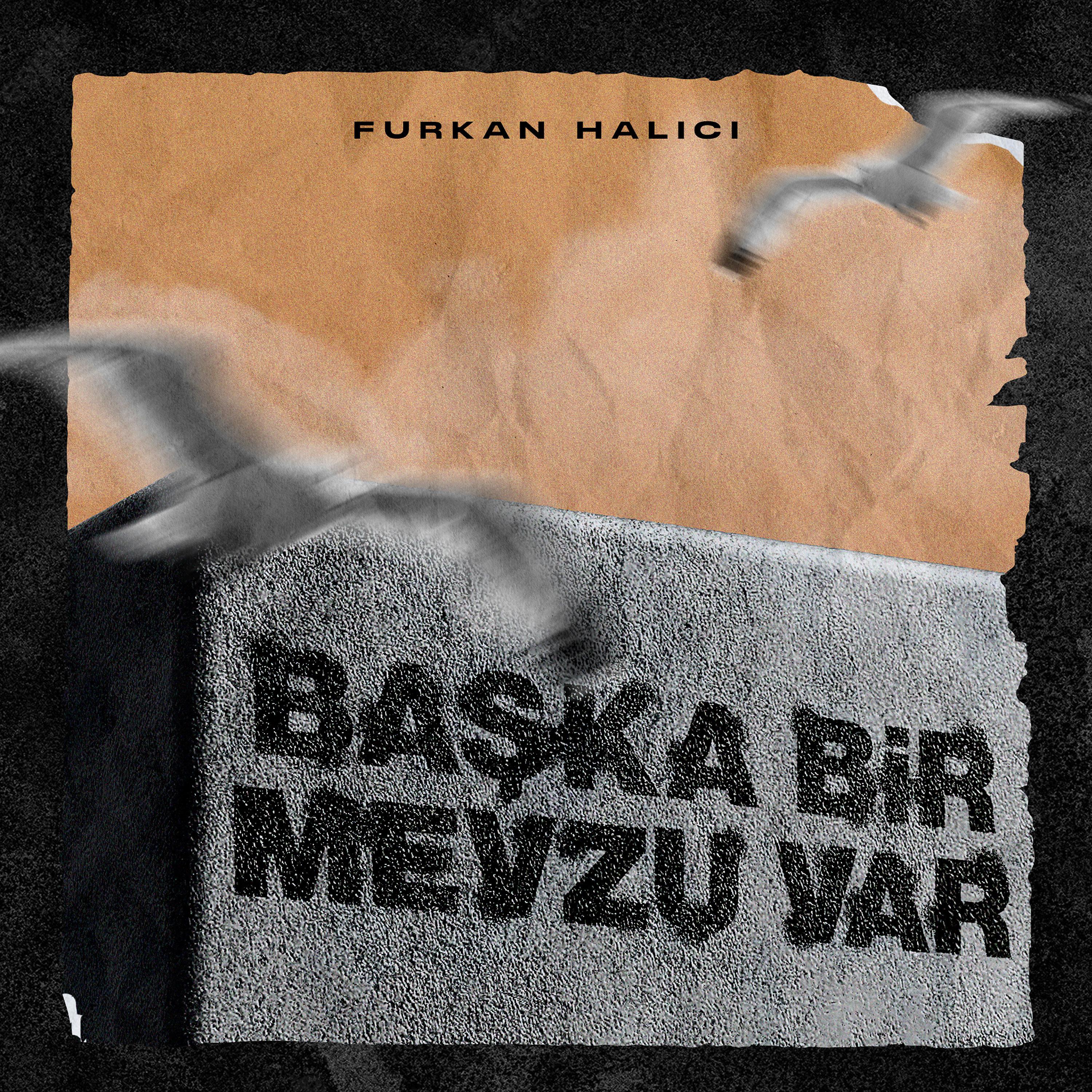 Постер альбома Başka Bir Mevzu Var