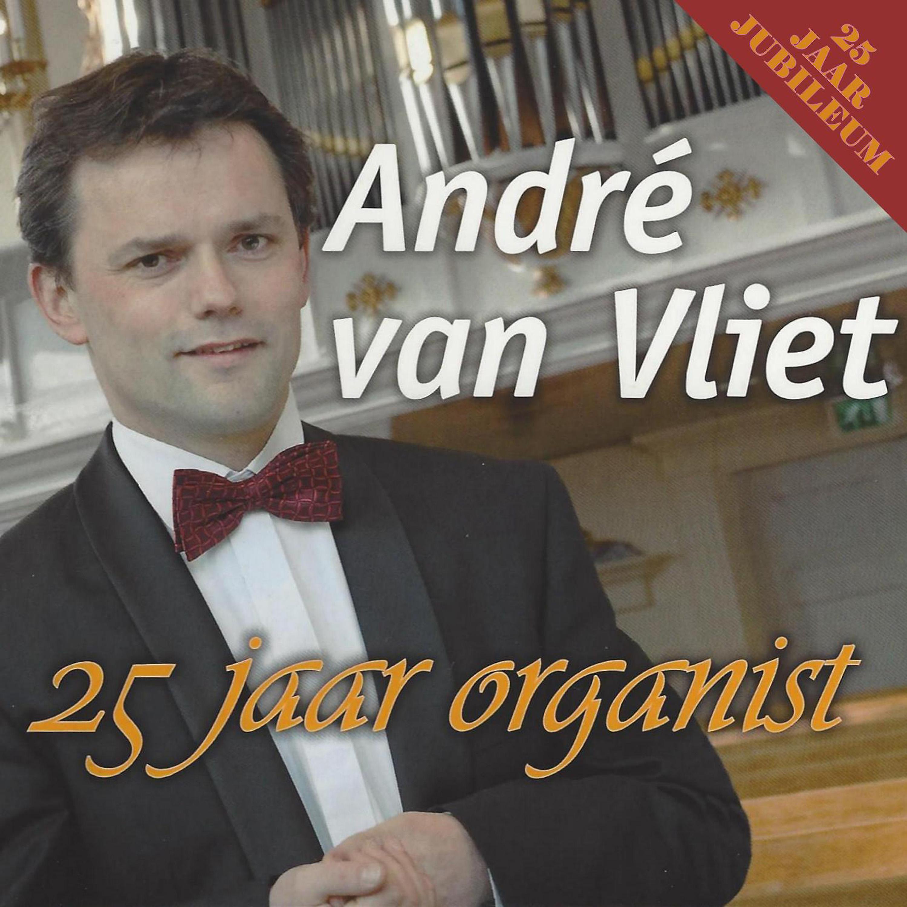 Постер альбома 25 Jaar Organist, Volume 1