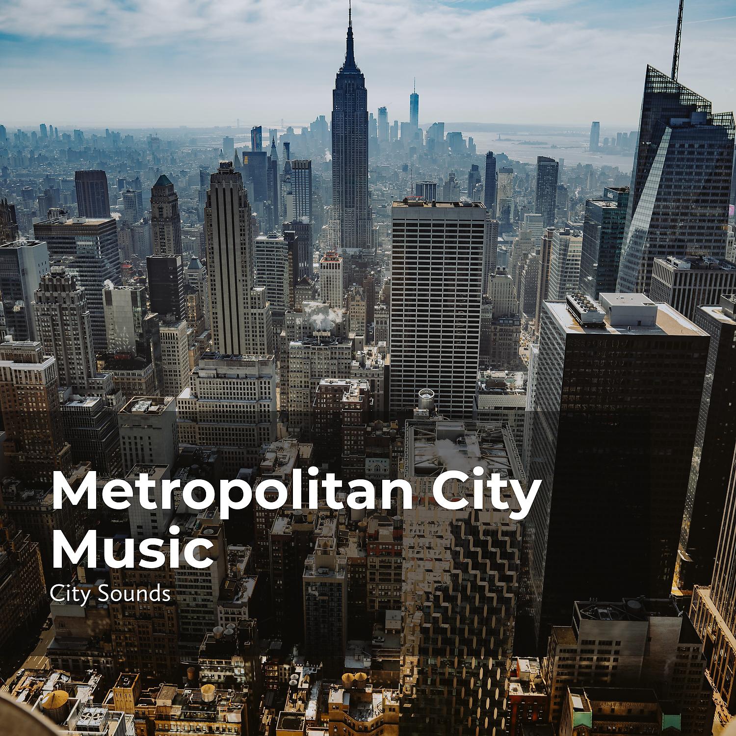 Постер альбома Metropolitan City Music