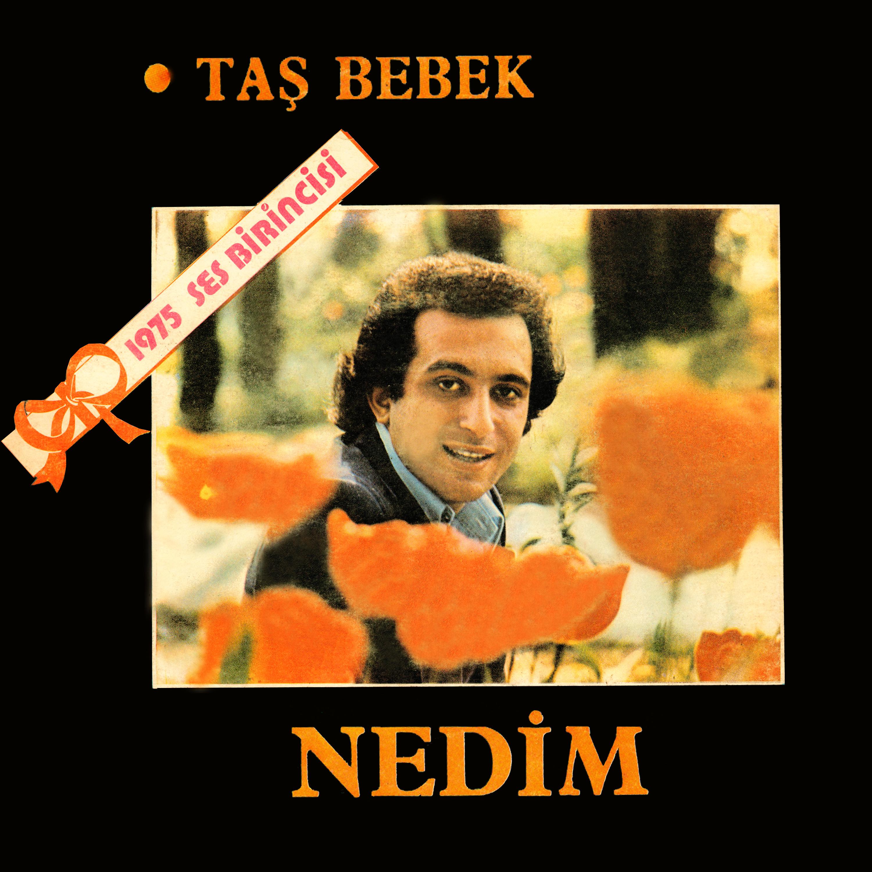 Постер альбома Taş Bebek