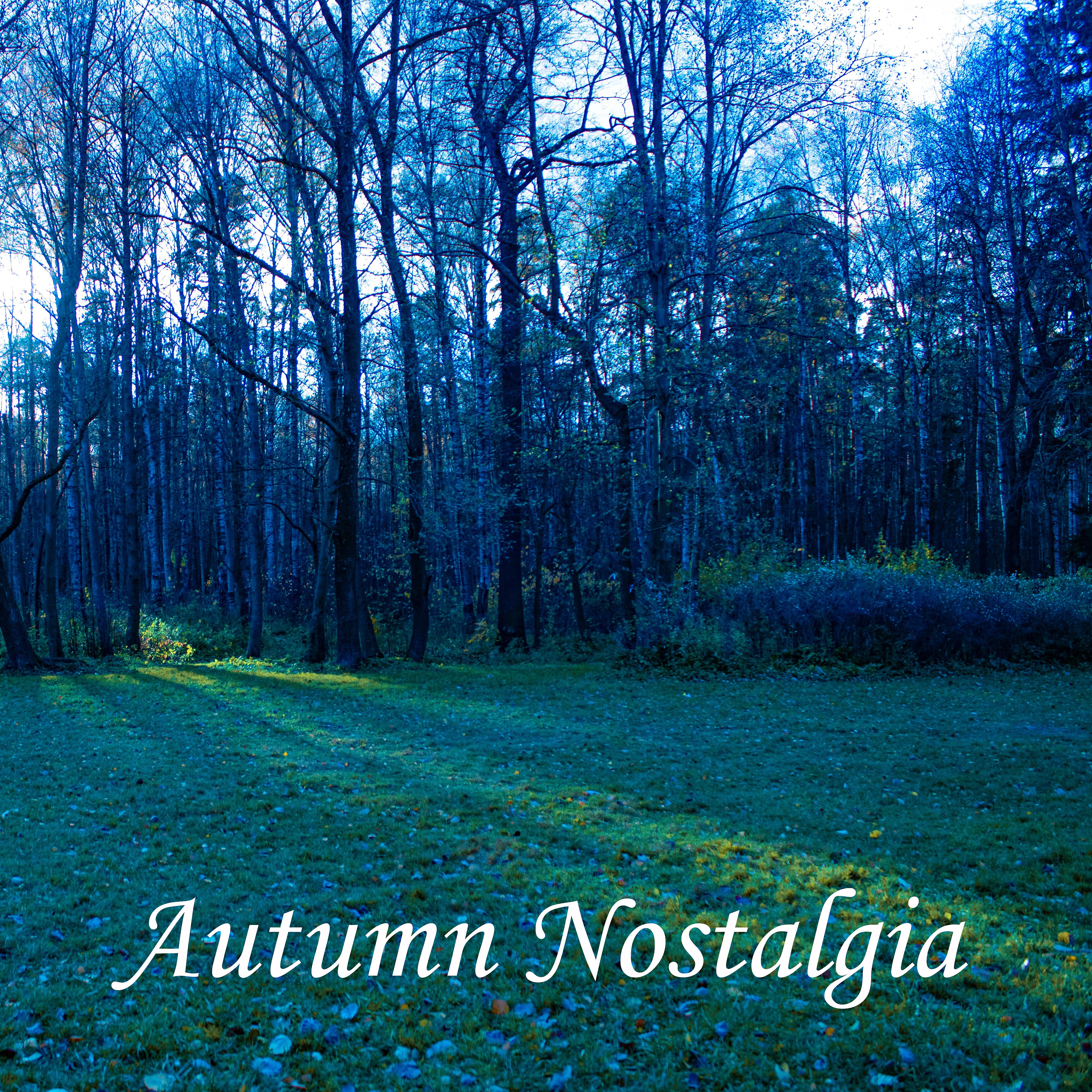 Постер альбома Autumn Nostalgia