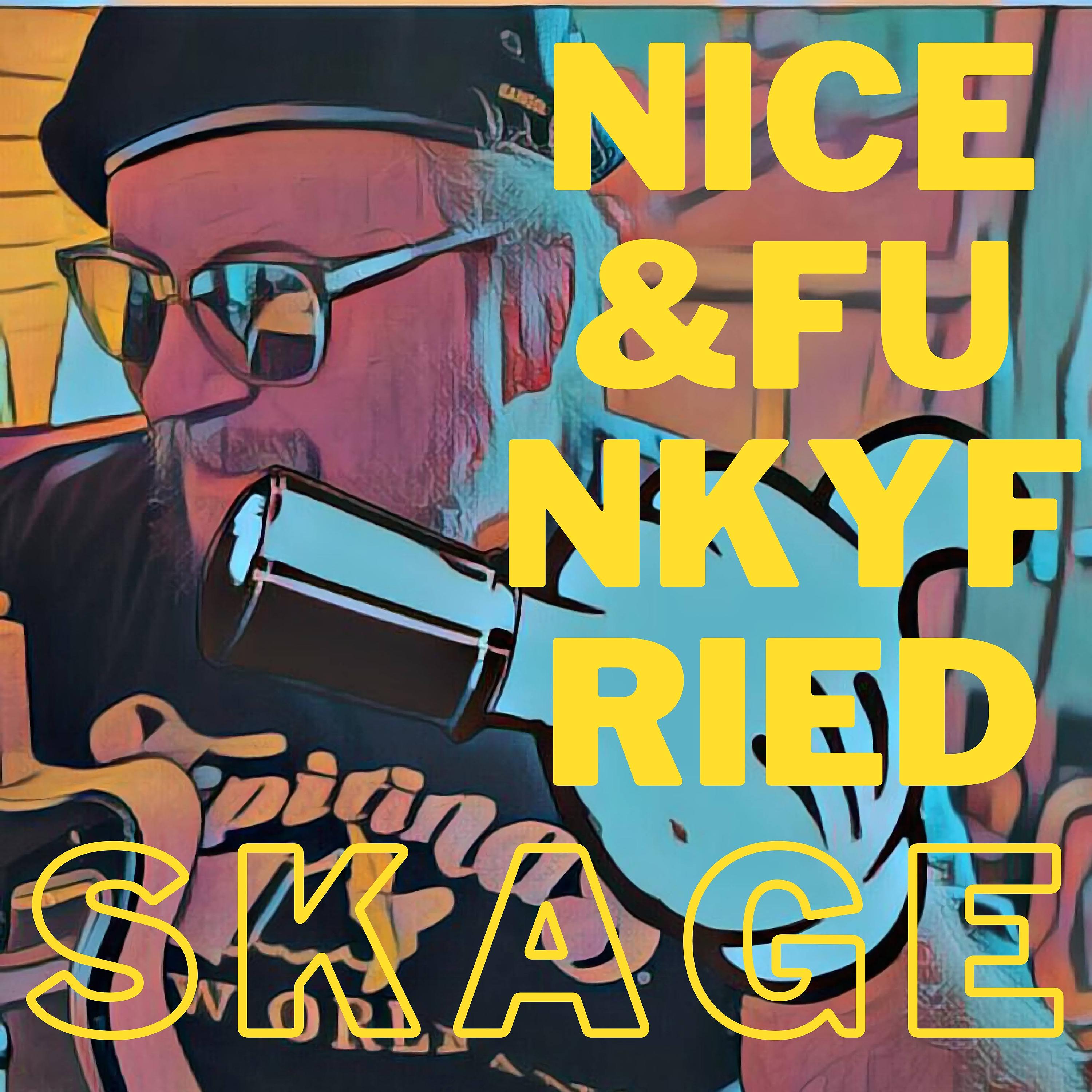 Постер альбома Nice and Funkyfried