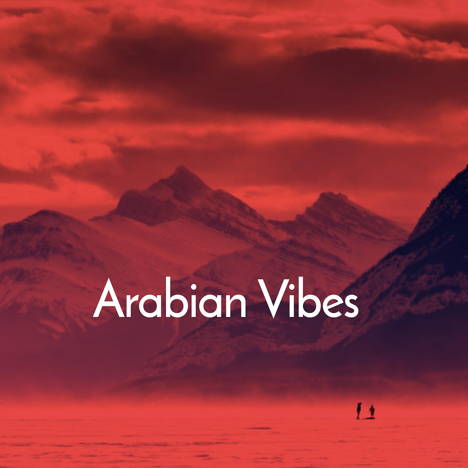 Постер альбома Arabian Vibes