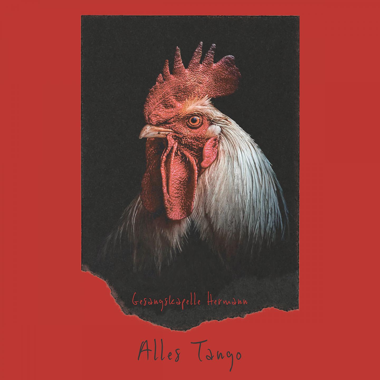 Постер альбома Alles Tango