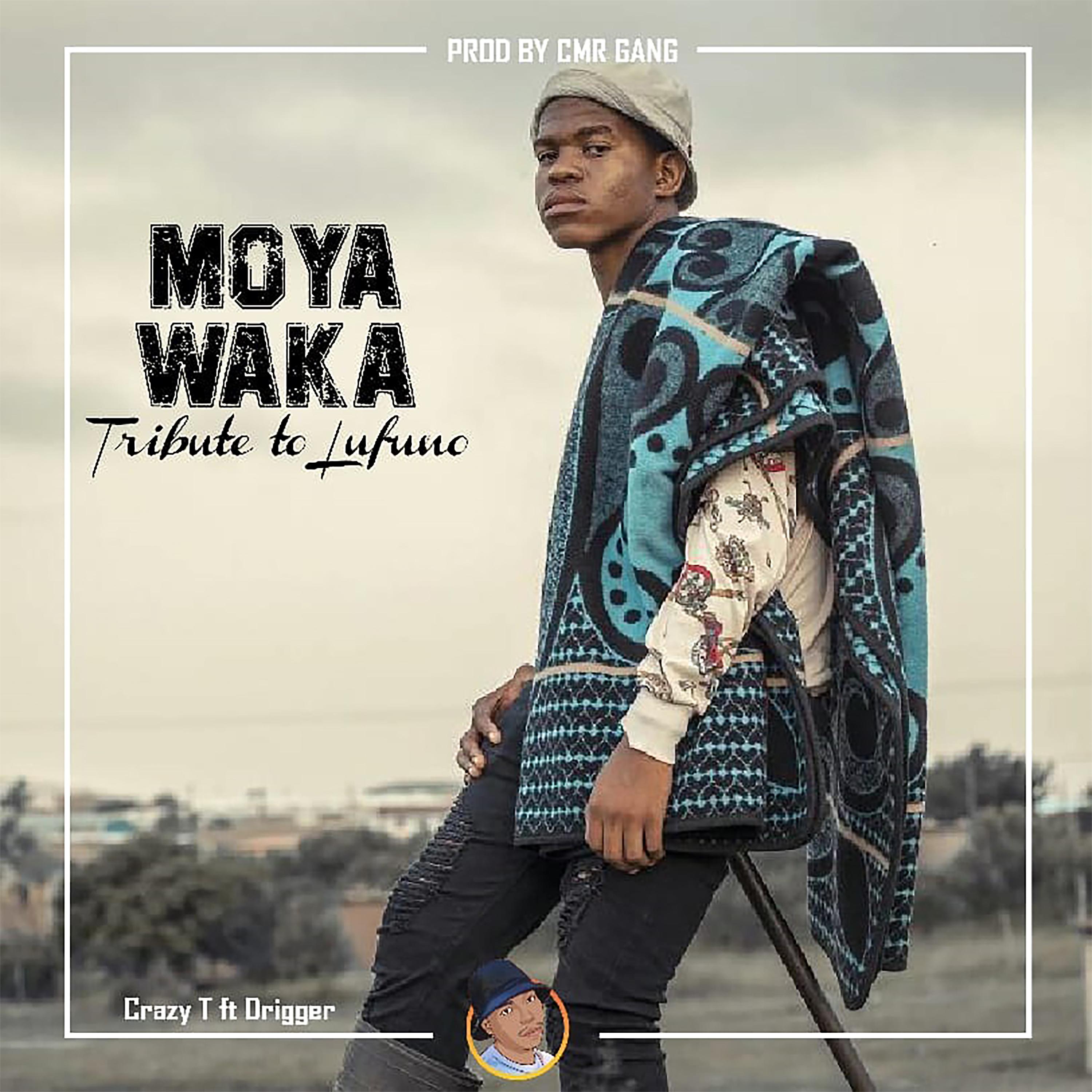Постер альбома Moya Waka