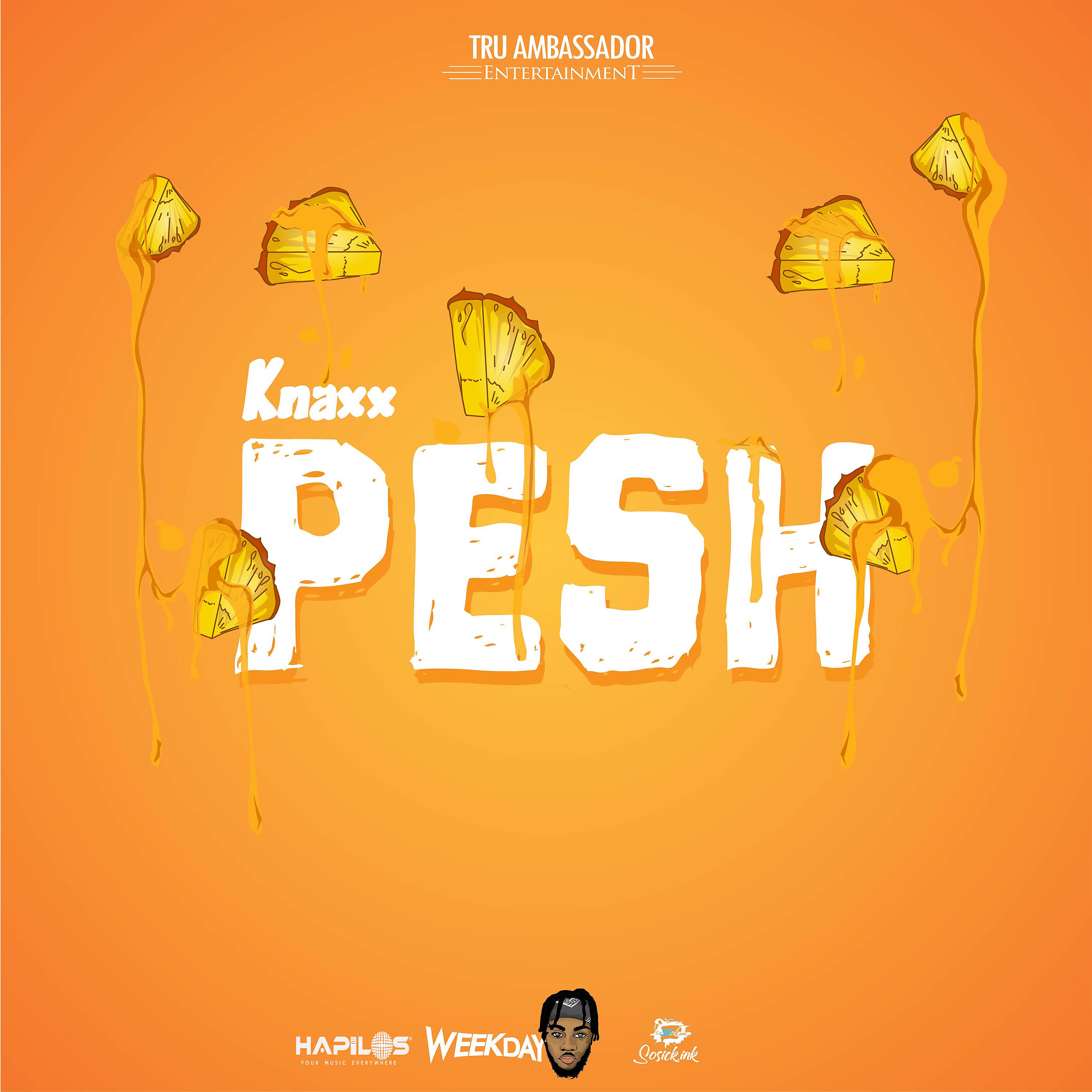 Постер альбома Pesh (Radio Edit)