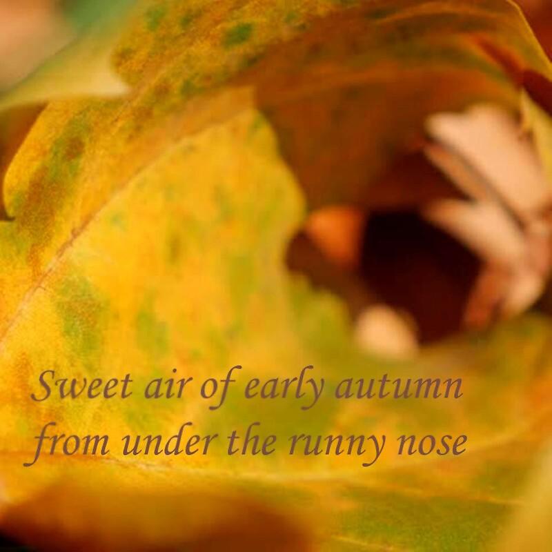 Постер альбома Sweet air of early autumn from under the runny nose