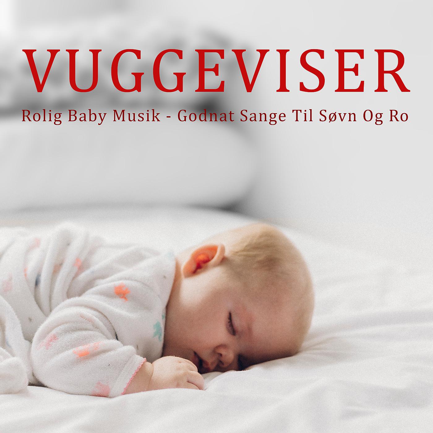 Постер альбома Vuggeviser - Rolig Baby Musik - Godnat Sange Til Søvn Og Ro