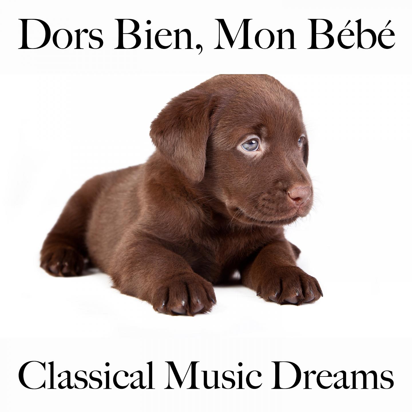 Постер альбома Dors Bien, Mon Bébé: Classical Music Dreams - La Meilleure Musique Pour Se Détendre