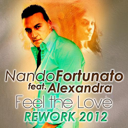 Постер альбома Feel the Love Rework 2012