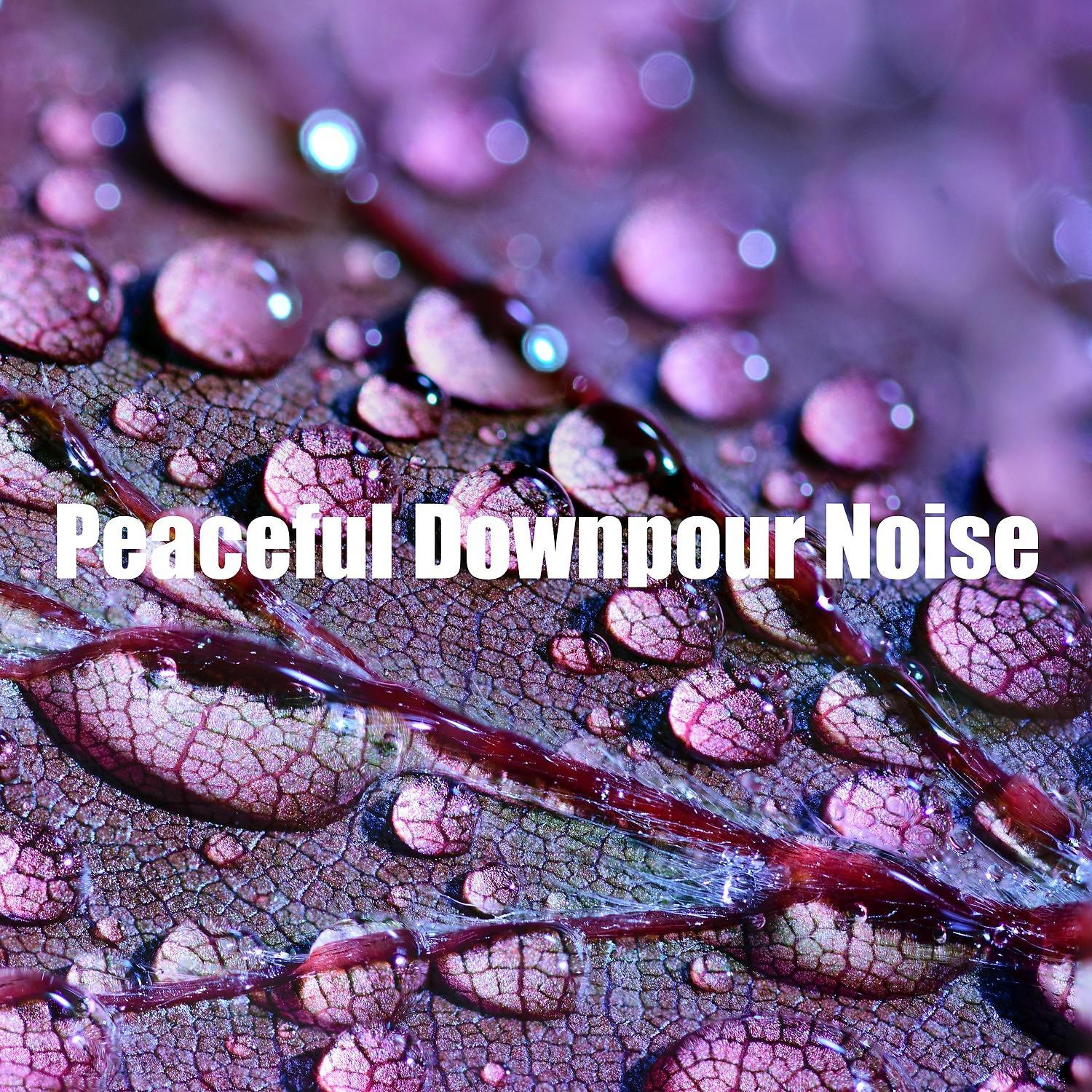Постер альбома Peaceful Downpour Noise