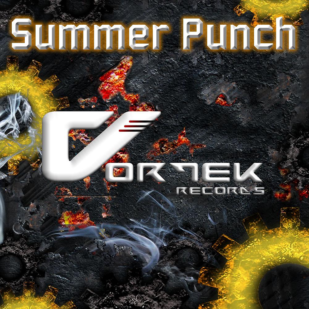 Постер альбома Summer Punch Pack