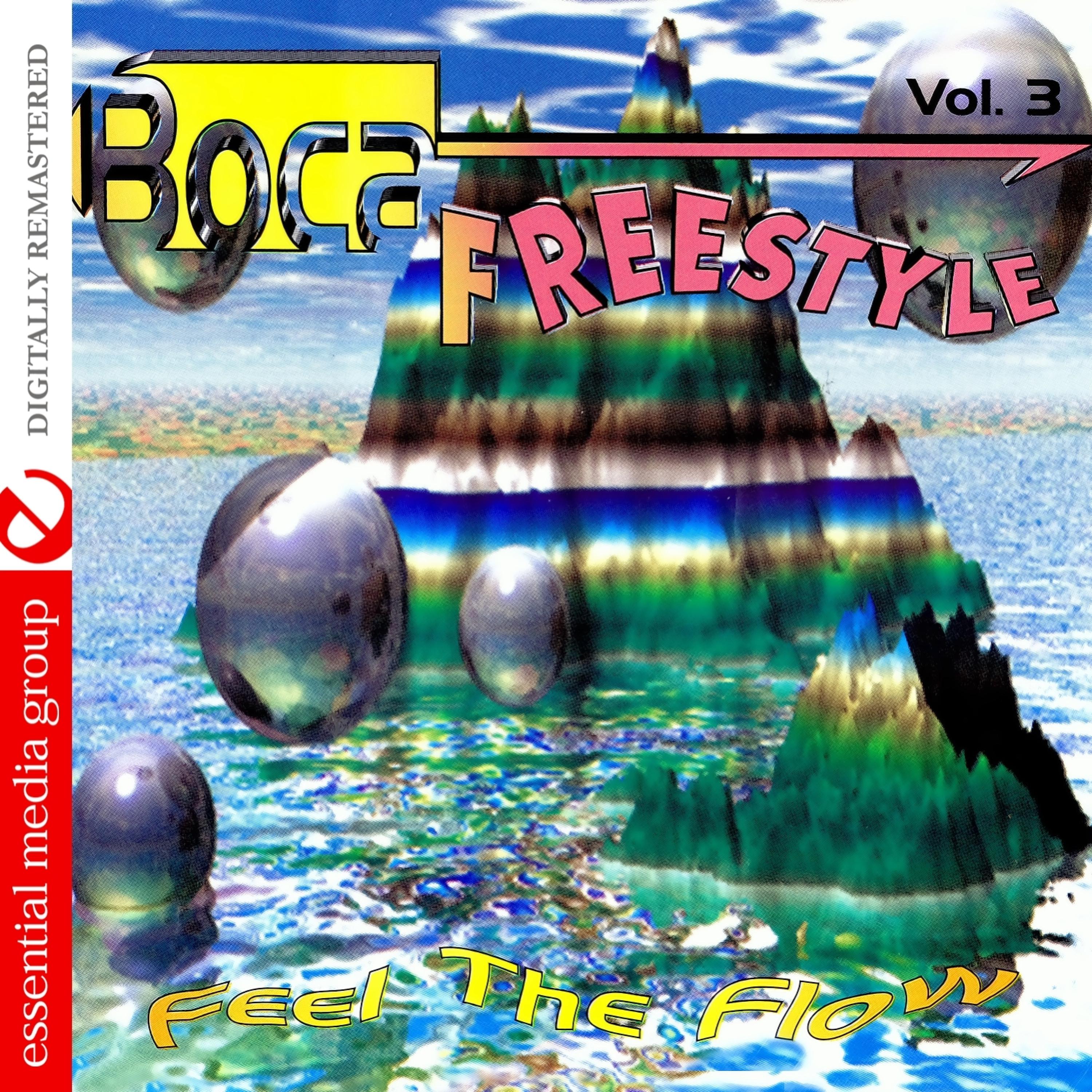 Постер альбома Boca Freestyle Vol. 3: Feel The Flow (Digitally Remastered)