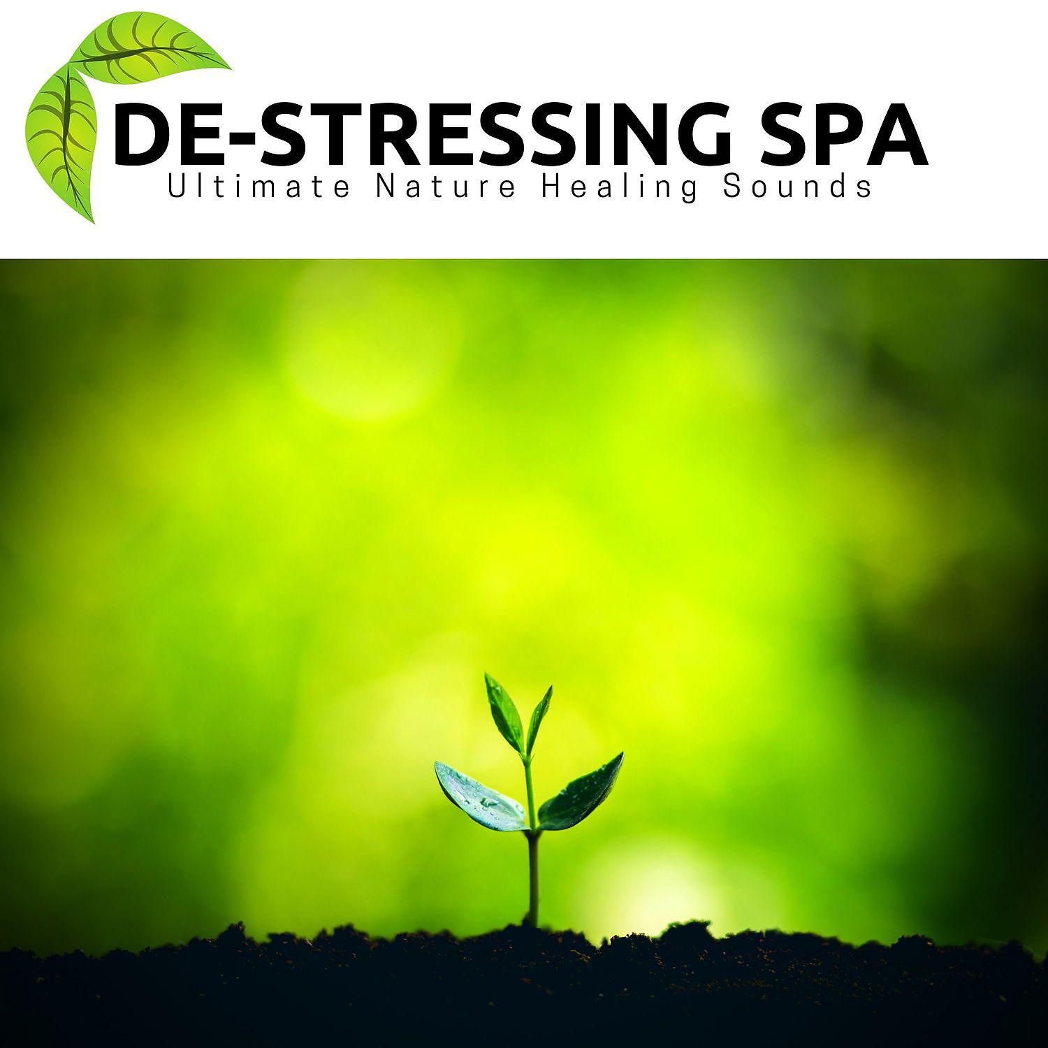 Постер альбома De-Stressing Spa - Ultimate Nature Healing Sounds