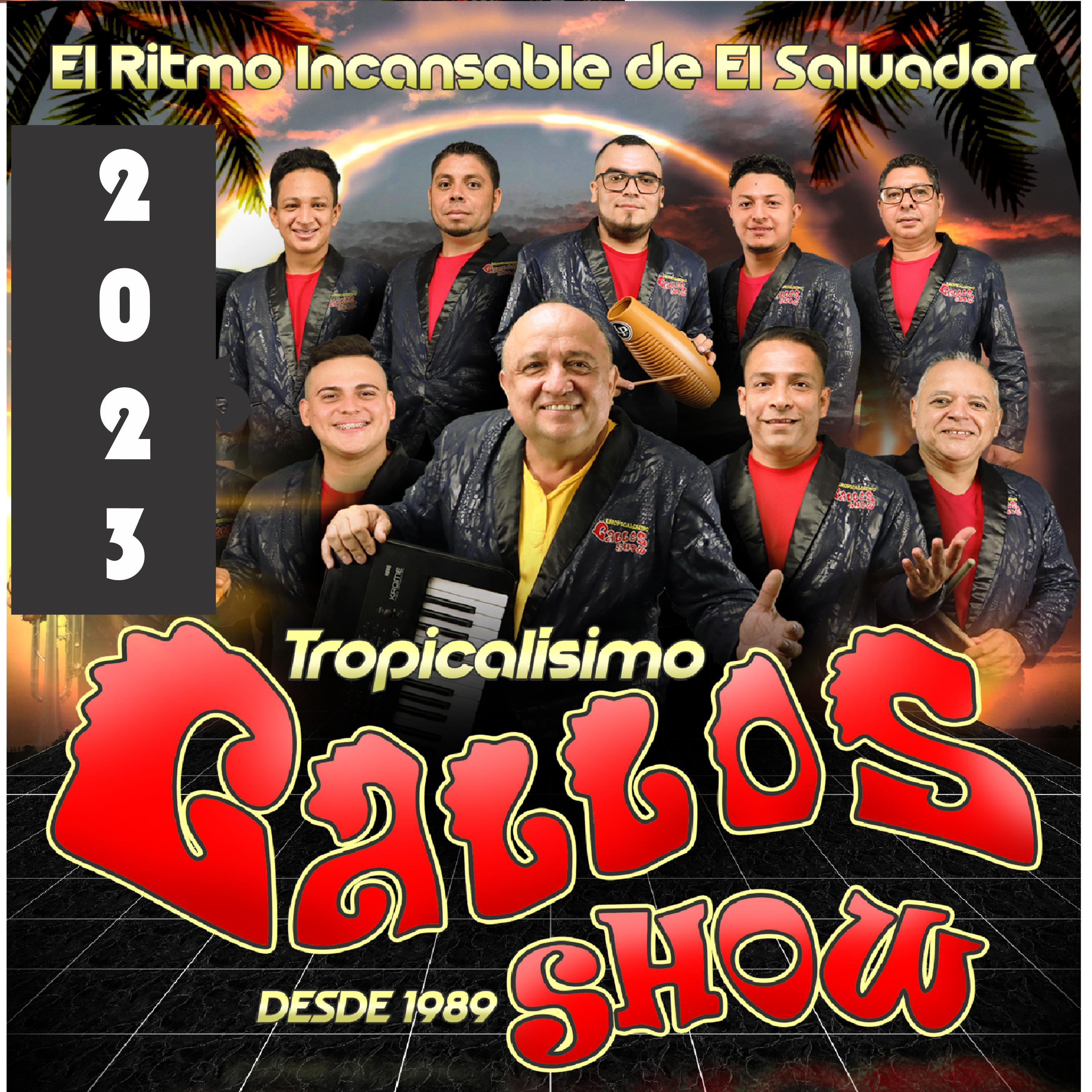 Постер альбома Mi Gallo Viejo