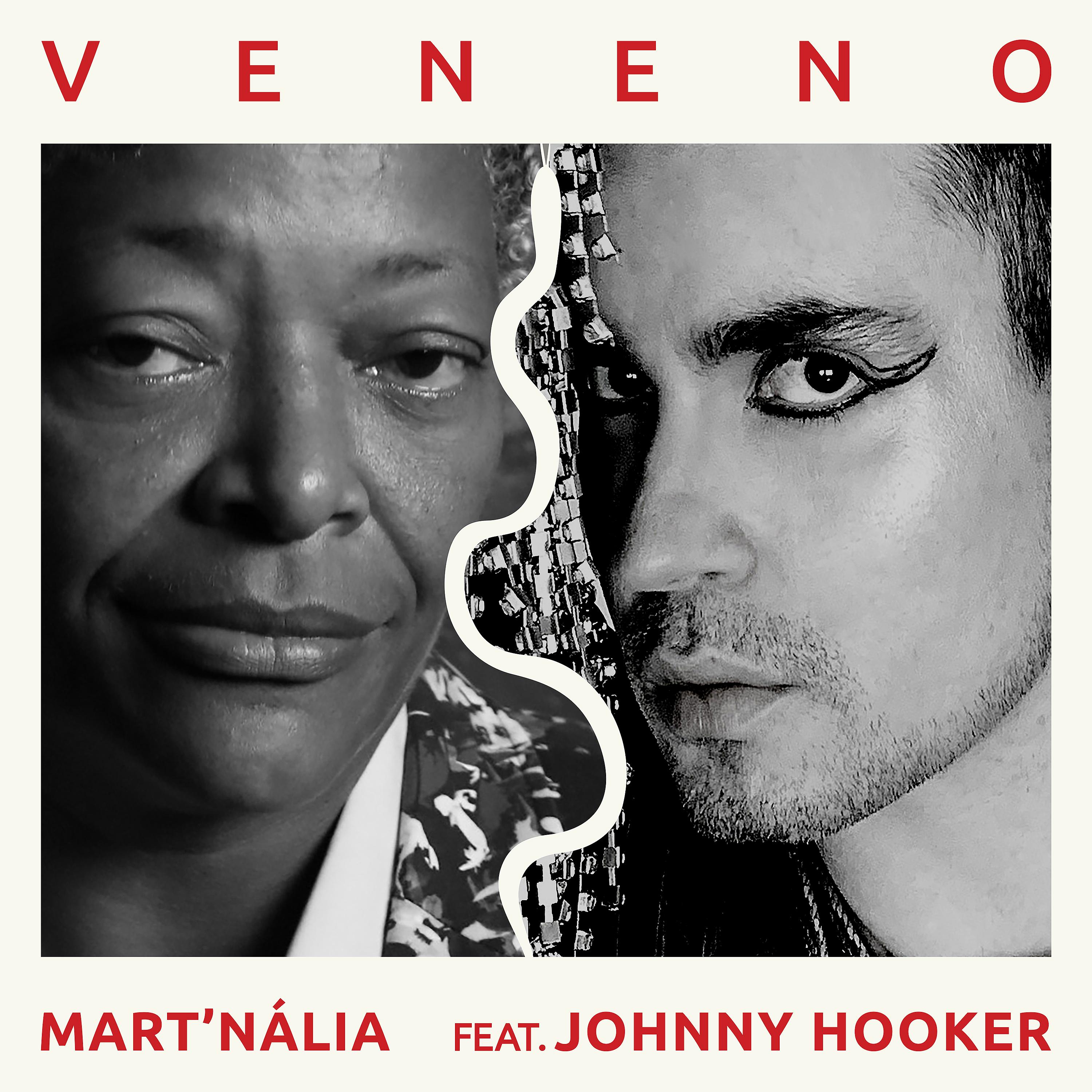 Постер альбома Veneno (Veleno)