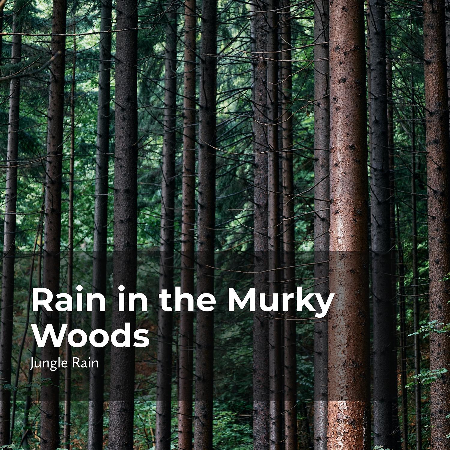 Постер альбома Rain in the Murky Woods