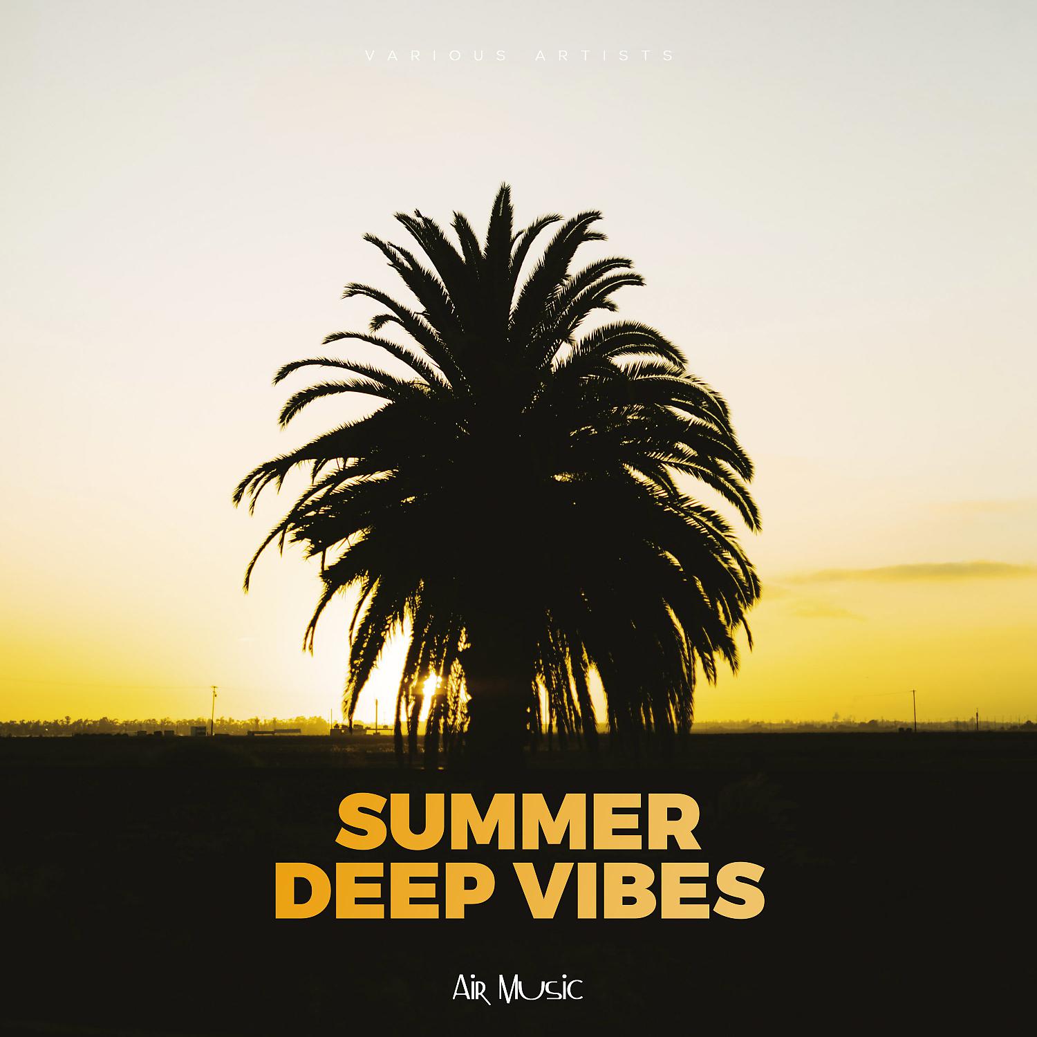 Постер альбома Summer Deep Vibes
