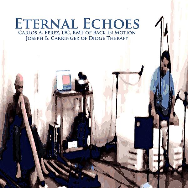Постер альбома Eternal Echoes (feat. Back In Motion & Didge Therapy)