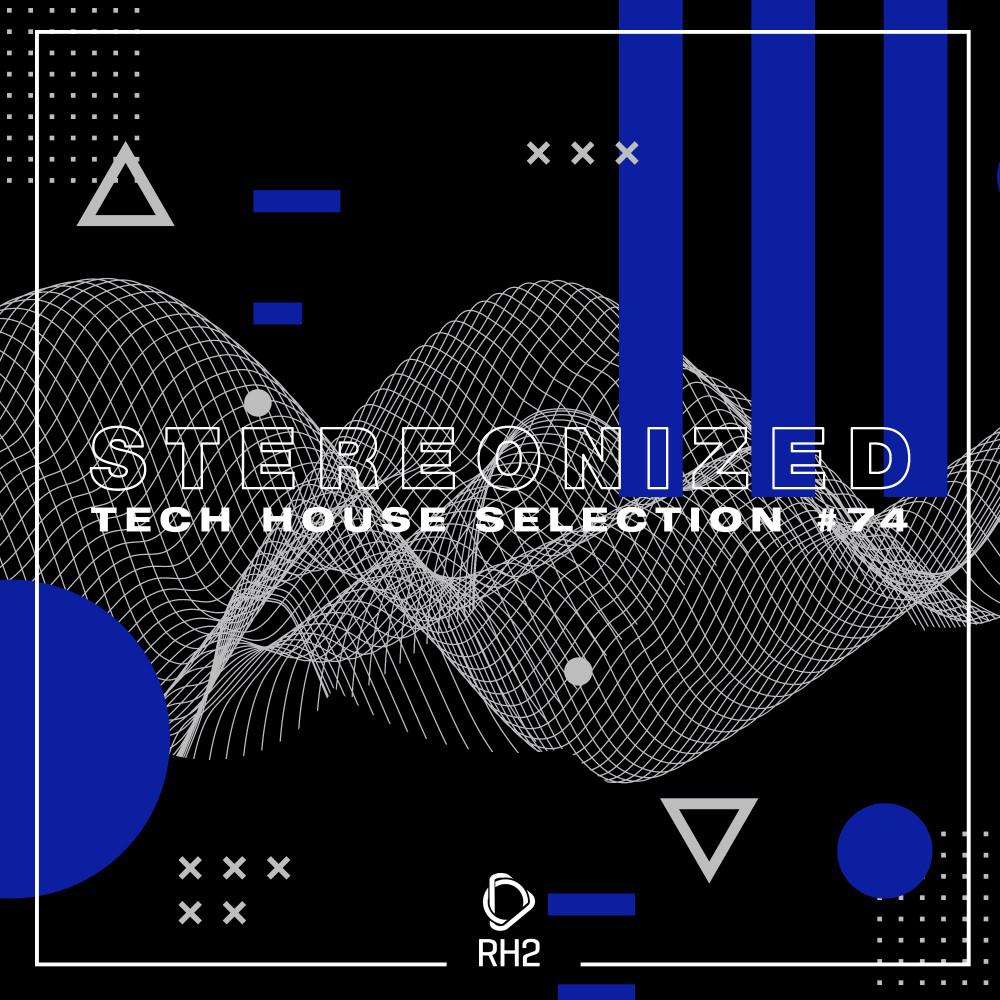 Постер альбома Stereonized: Tech House Selection, Vol. 74