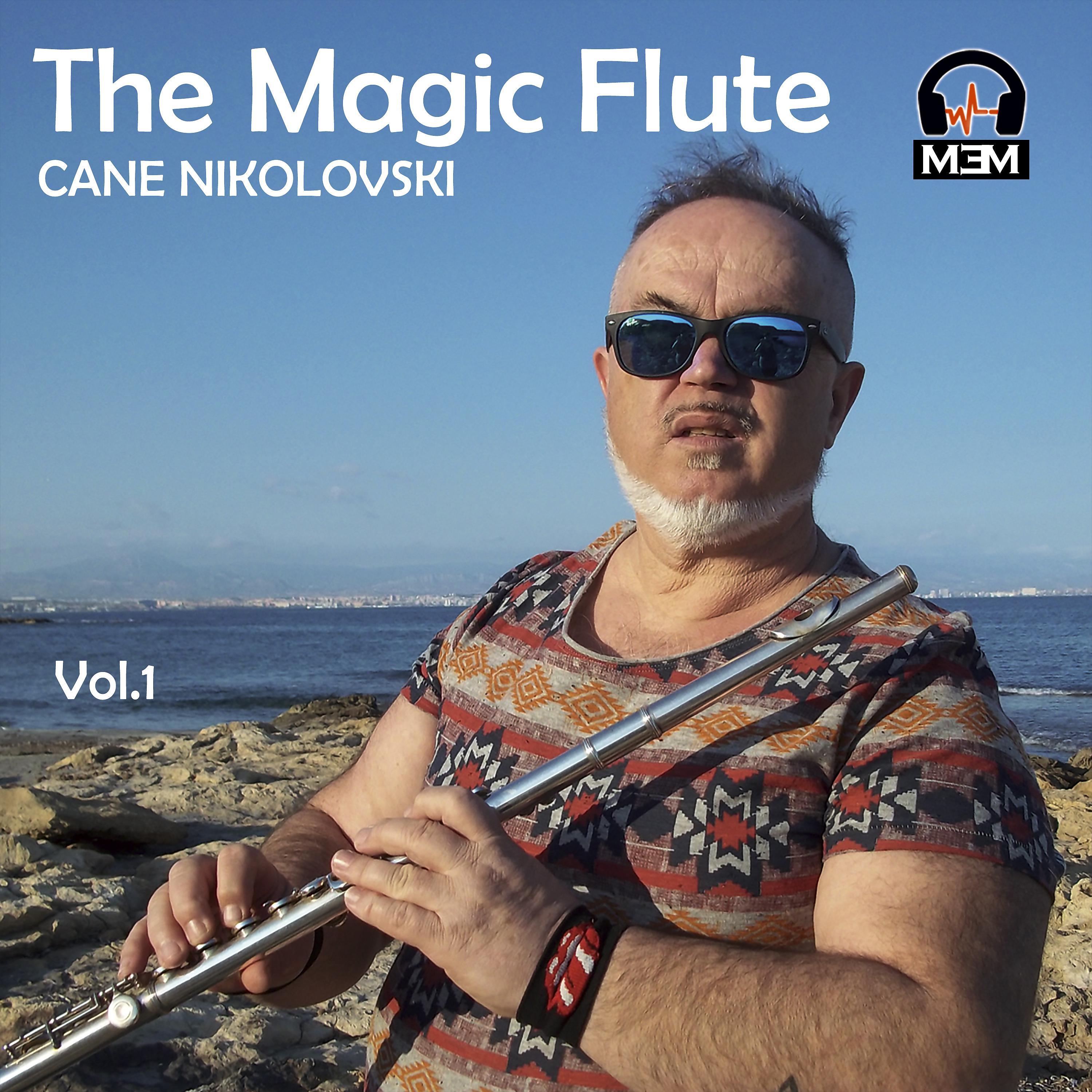 Постер альбома The Magic Flute, Vol. 1