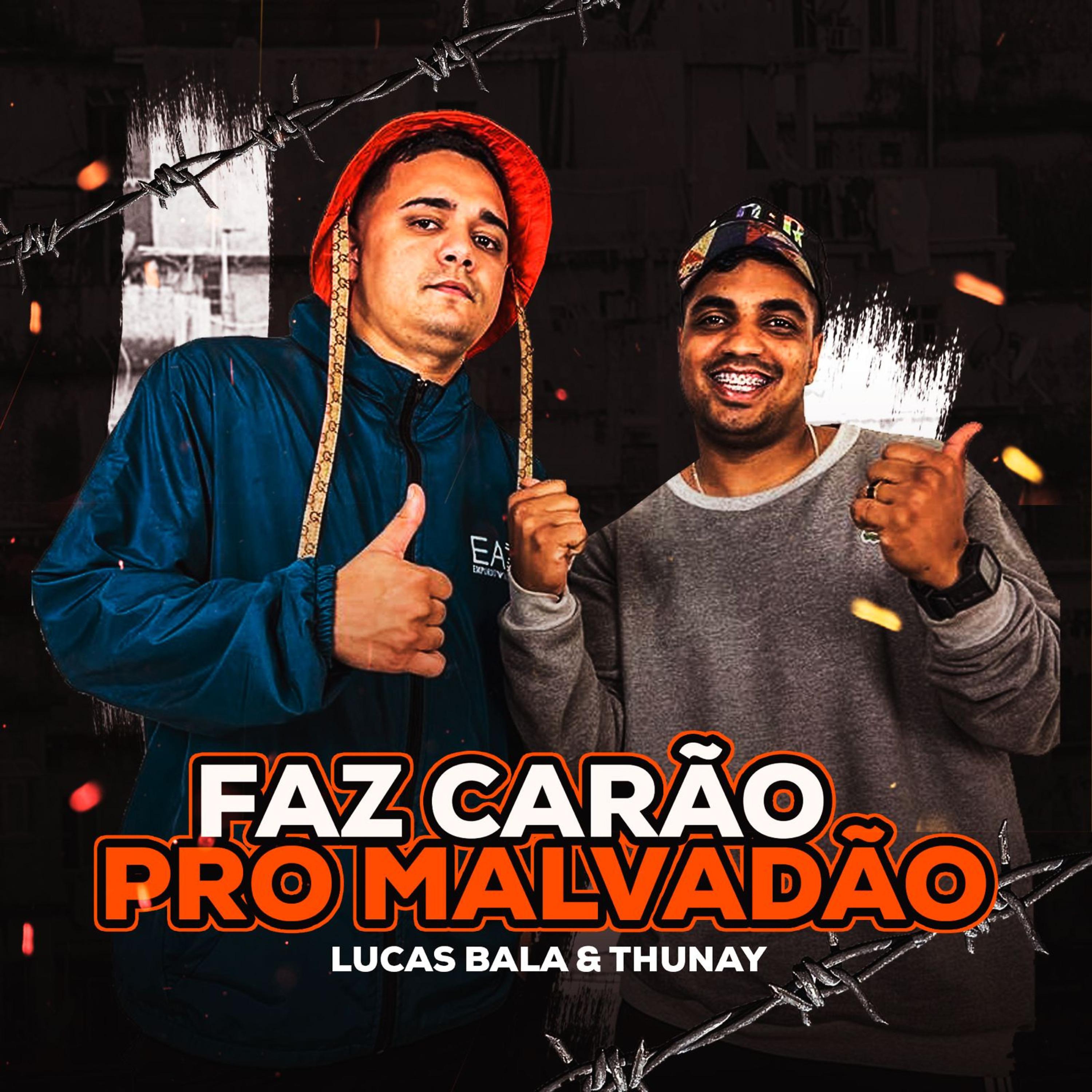 Постер альбома Faz Carão pro Malvadão
