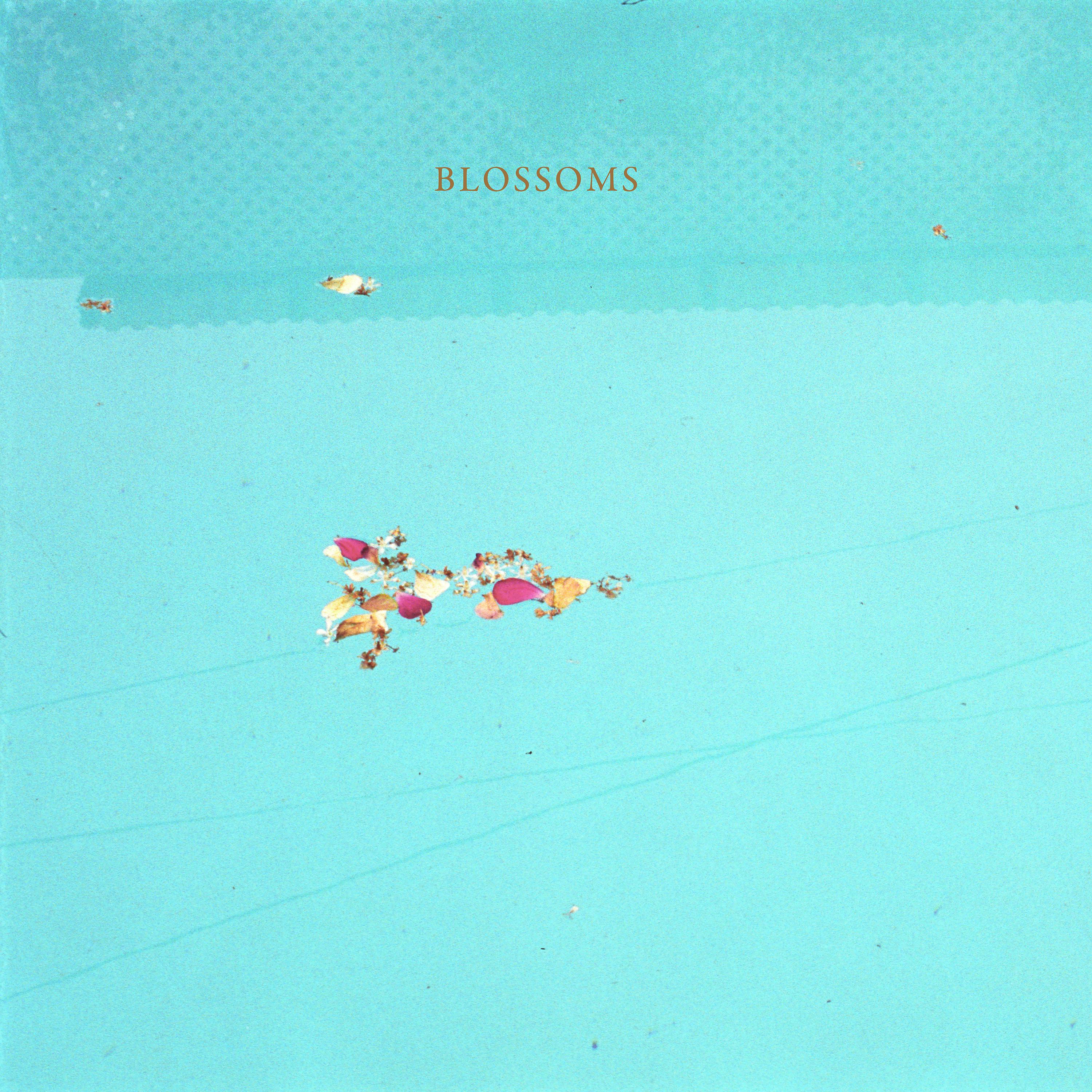 Постер альбома Blossoms