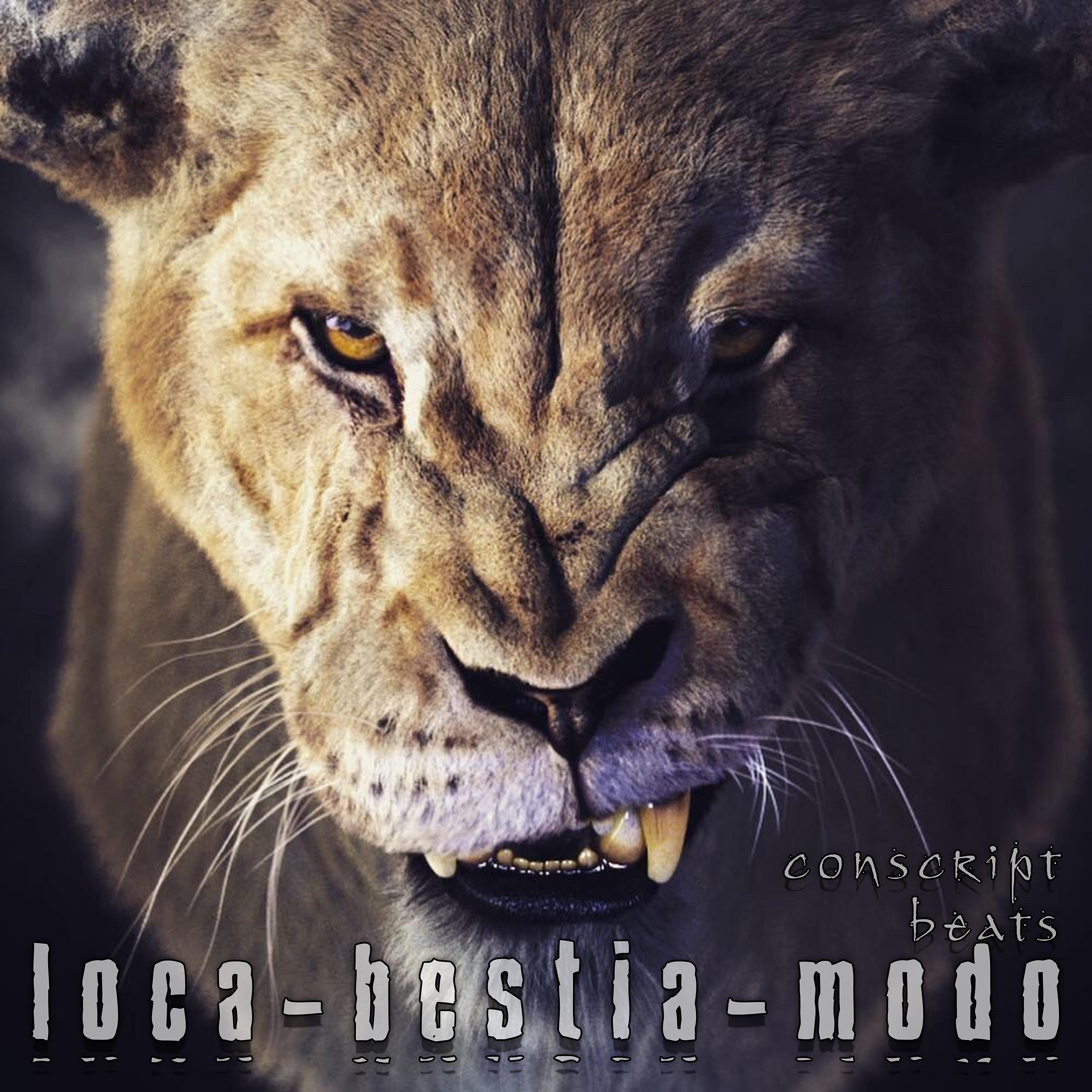 Постер альбома Loca Bestia Modo