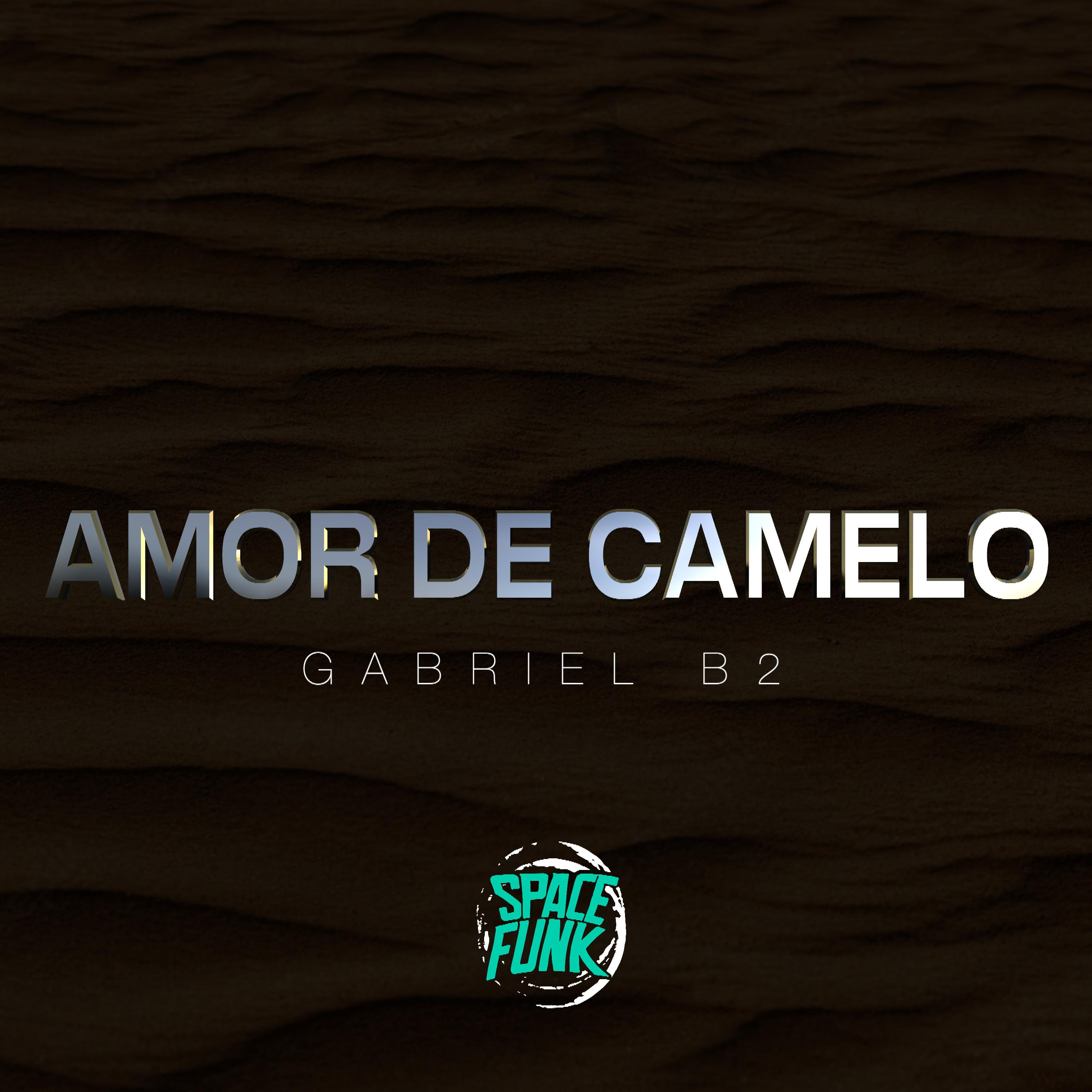 Постер альбома Amor de Camelo