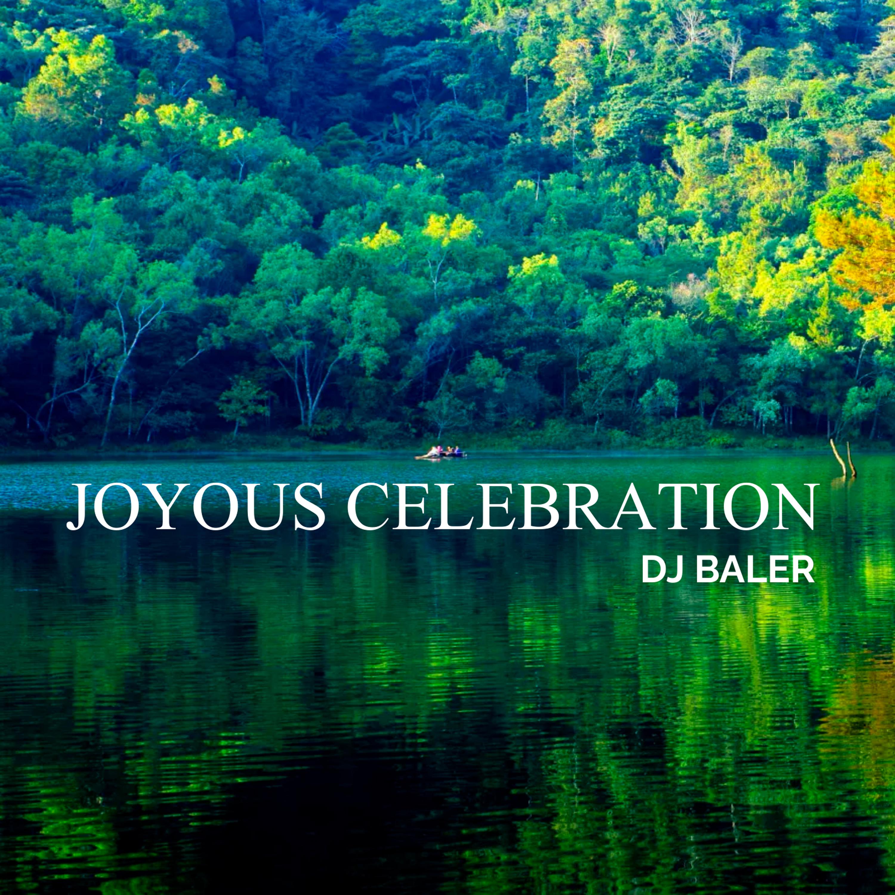 Постер альбома Joyous Celebration