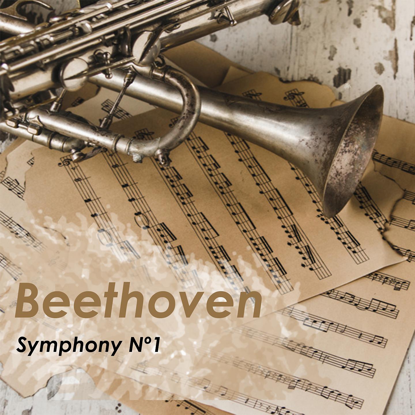 Постер альбома Beethoven Symphony Nº1