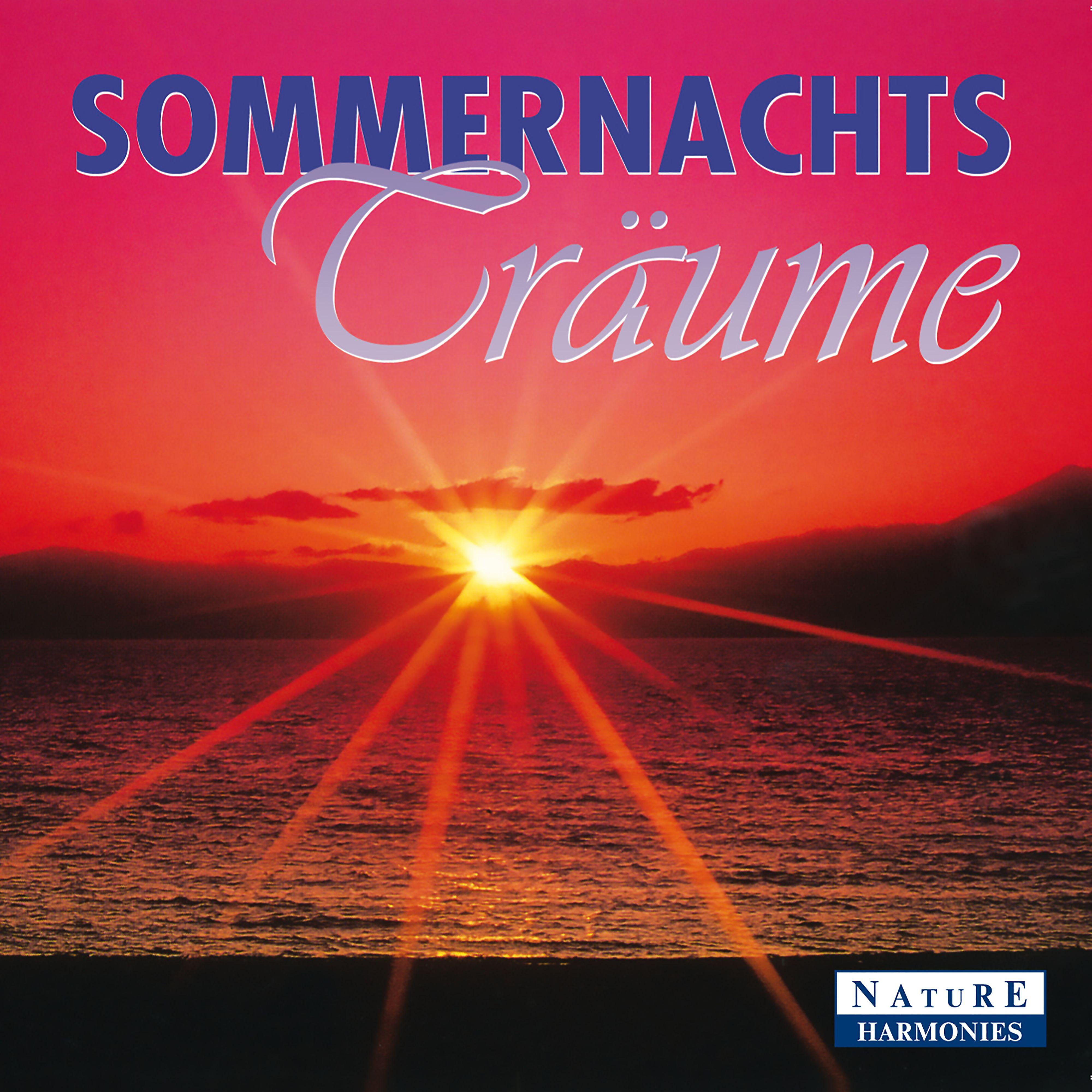 Постер альбома Sommernachtsträume: Summer Night Dreams