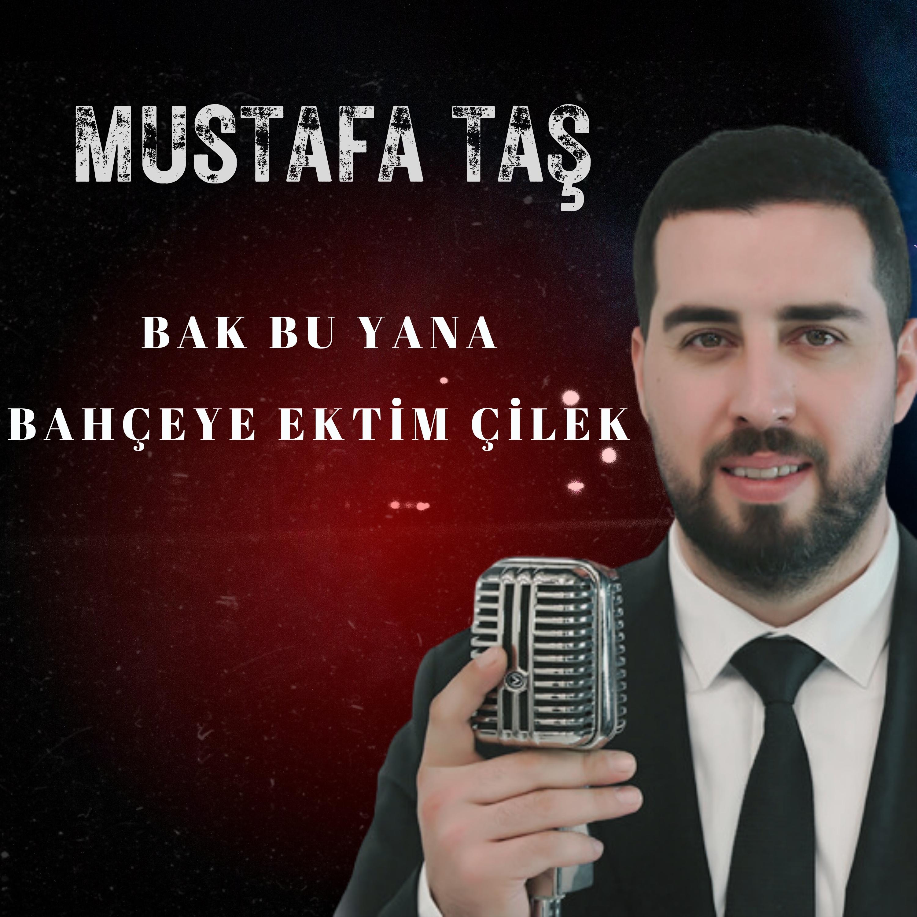 Постер альбома Bak Bu Yana Bahçeye Ektim Çilek