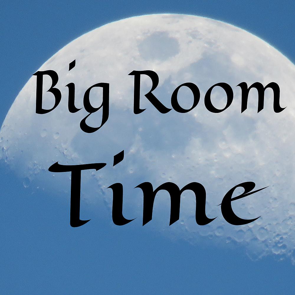 Постер альбома Big Room Time
