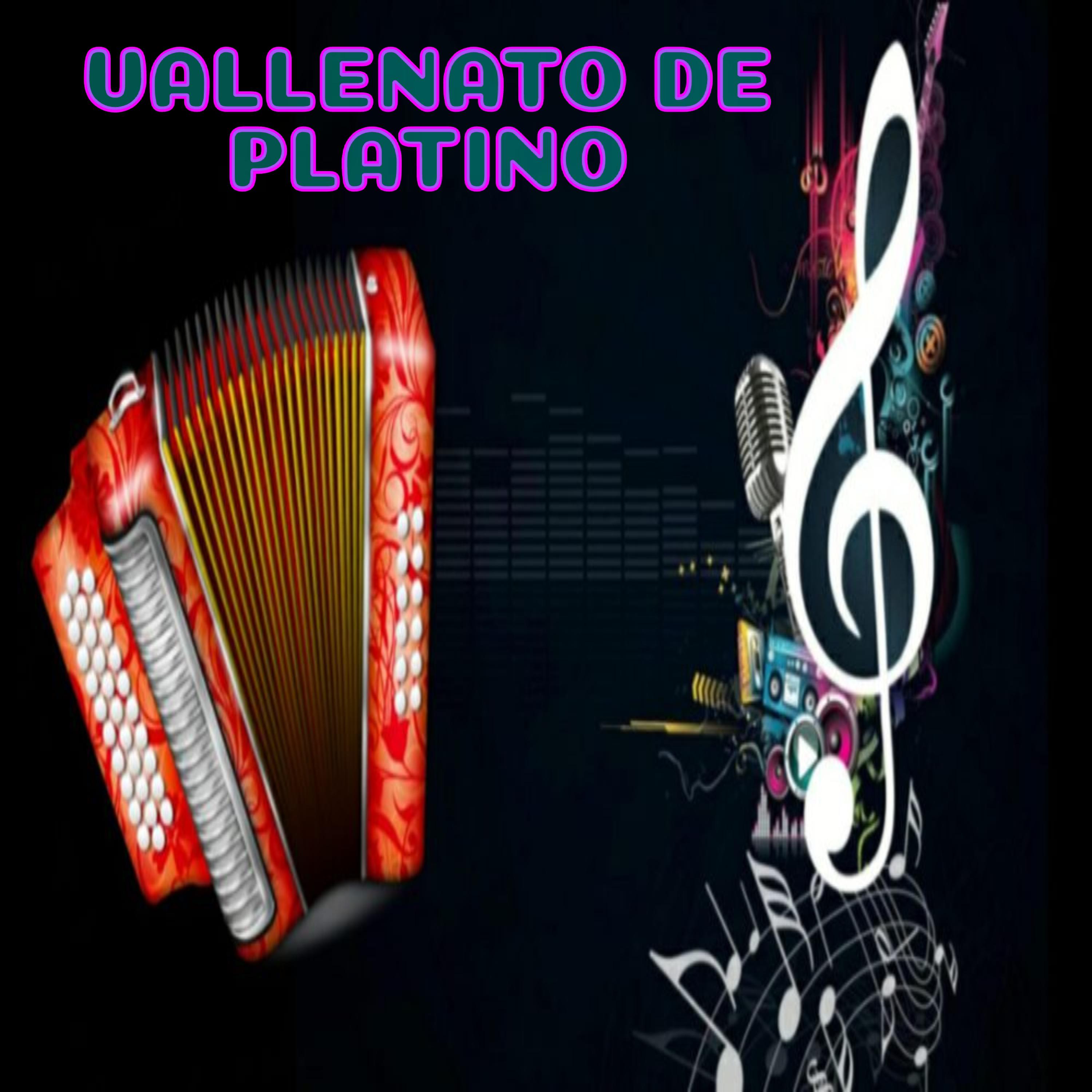Постер альбома Vallenato de platino