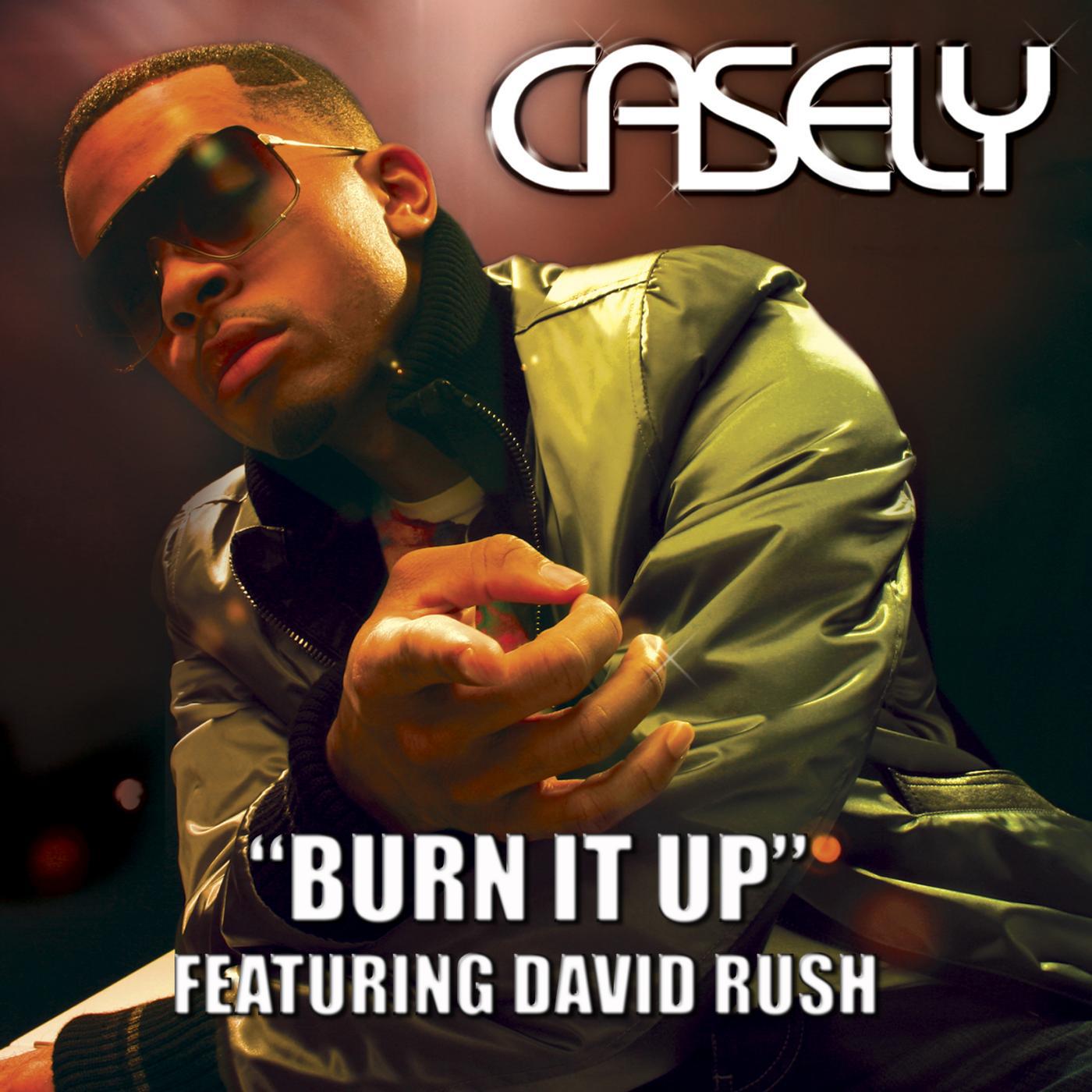 Постер альбома Burn It up Feat. David Rush