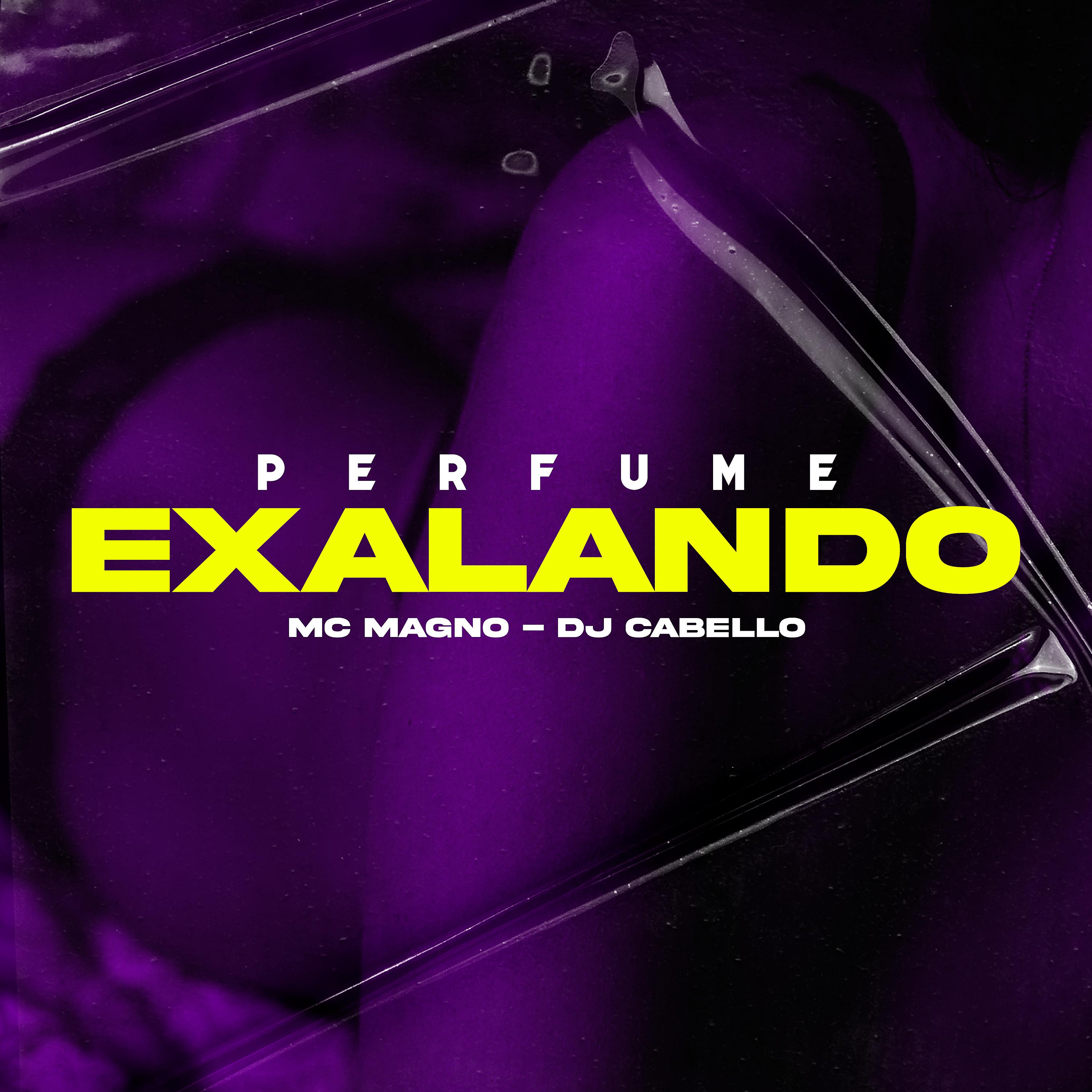 Постер альбома Perfume Exalando