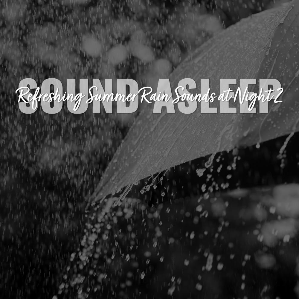 Постер альбома Sound Asleep: Refreshing Summer Rain Sounds at Night 2