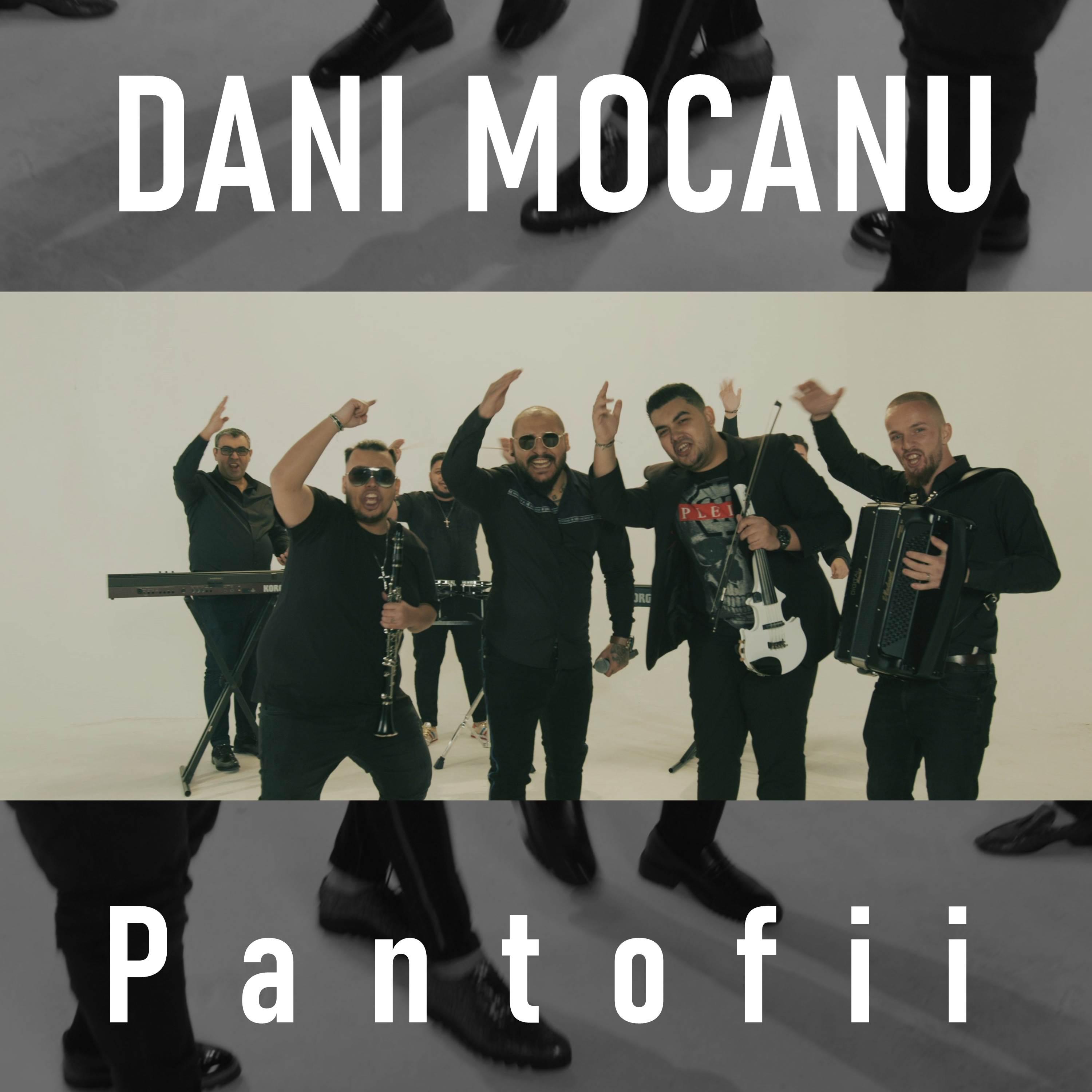 Постер альбома Pantofii