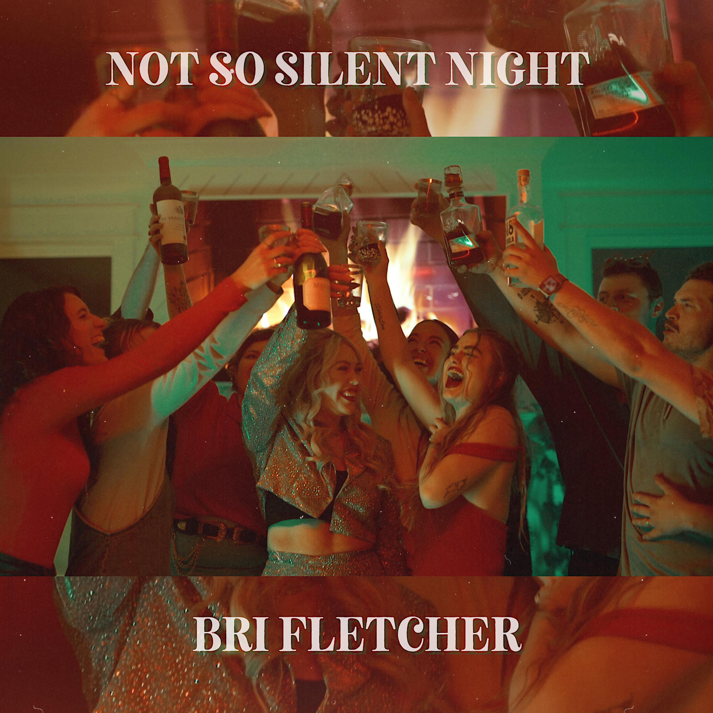Постер альбома Not So Silent Night
